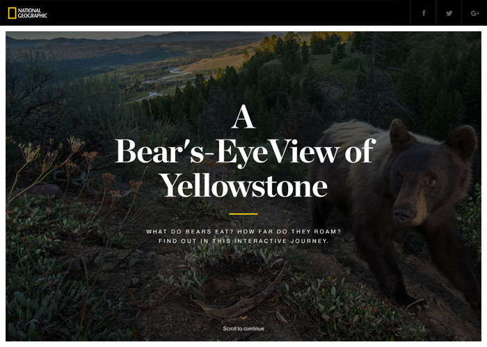 mejores diseños web 2016-2017 