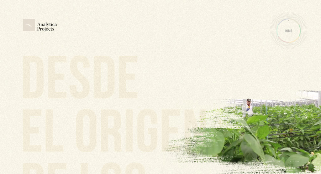 inspiración diseño web