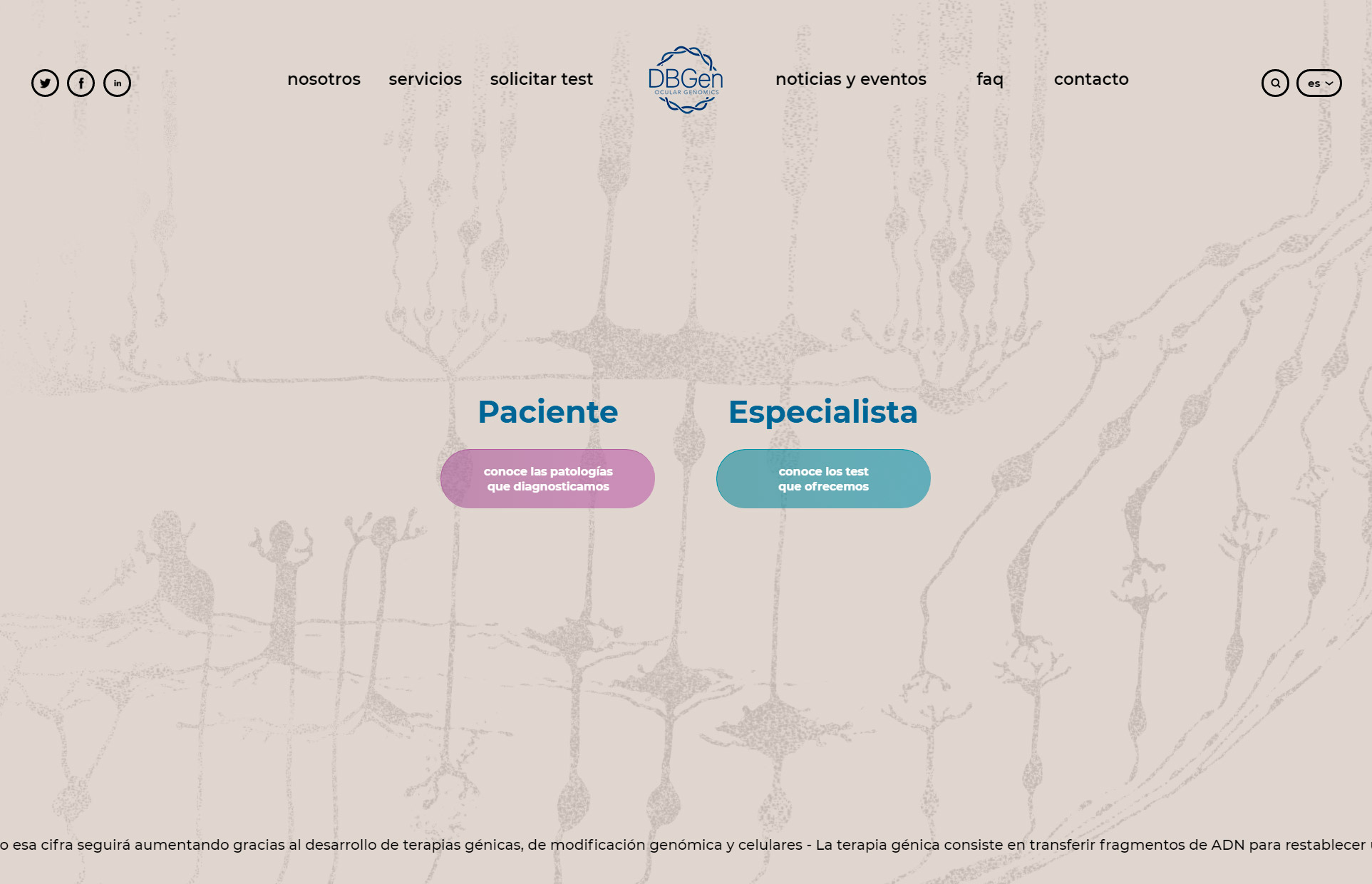 diseño web barcelona 3