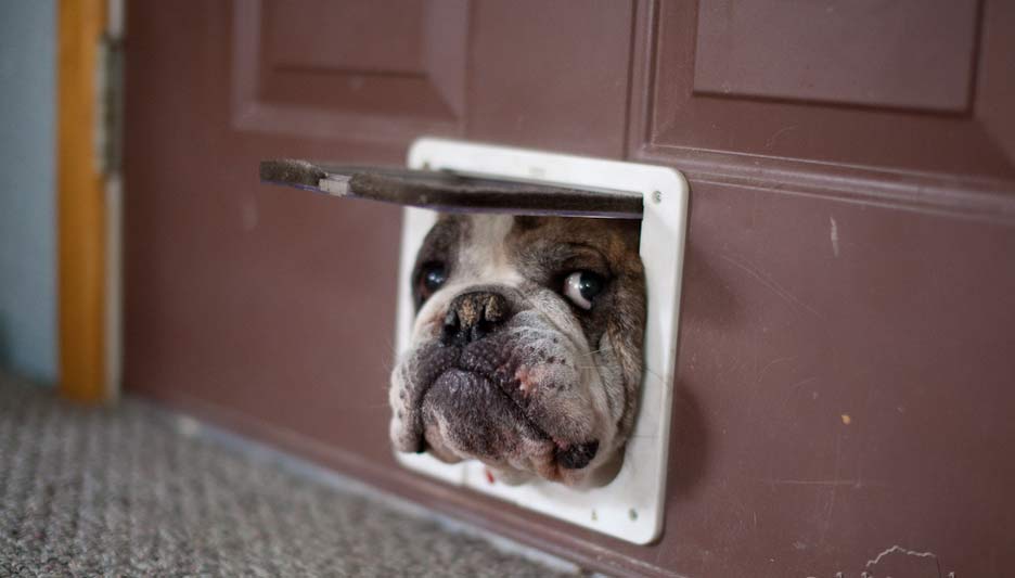 011_7-conceptos-erróneos-sobre-Wordpress