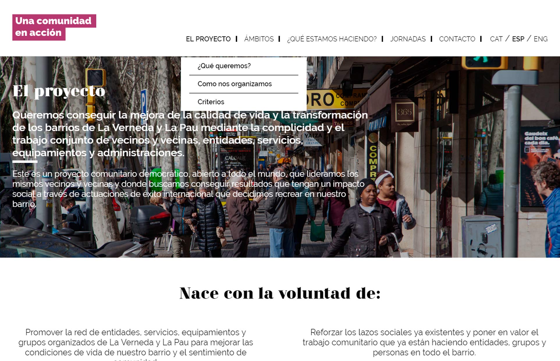 diseño web barcelona 6