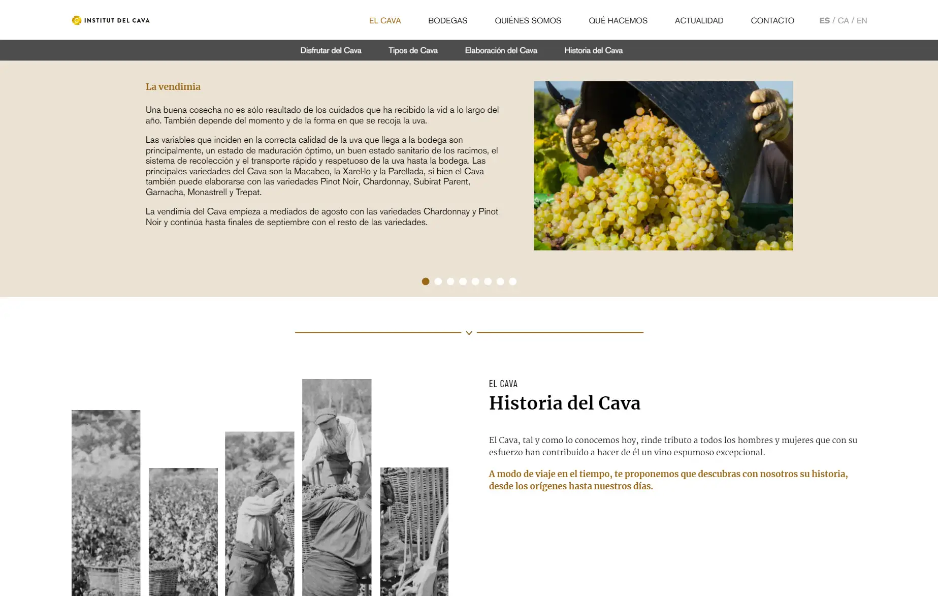 Institut del Cava · vista 7