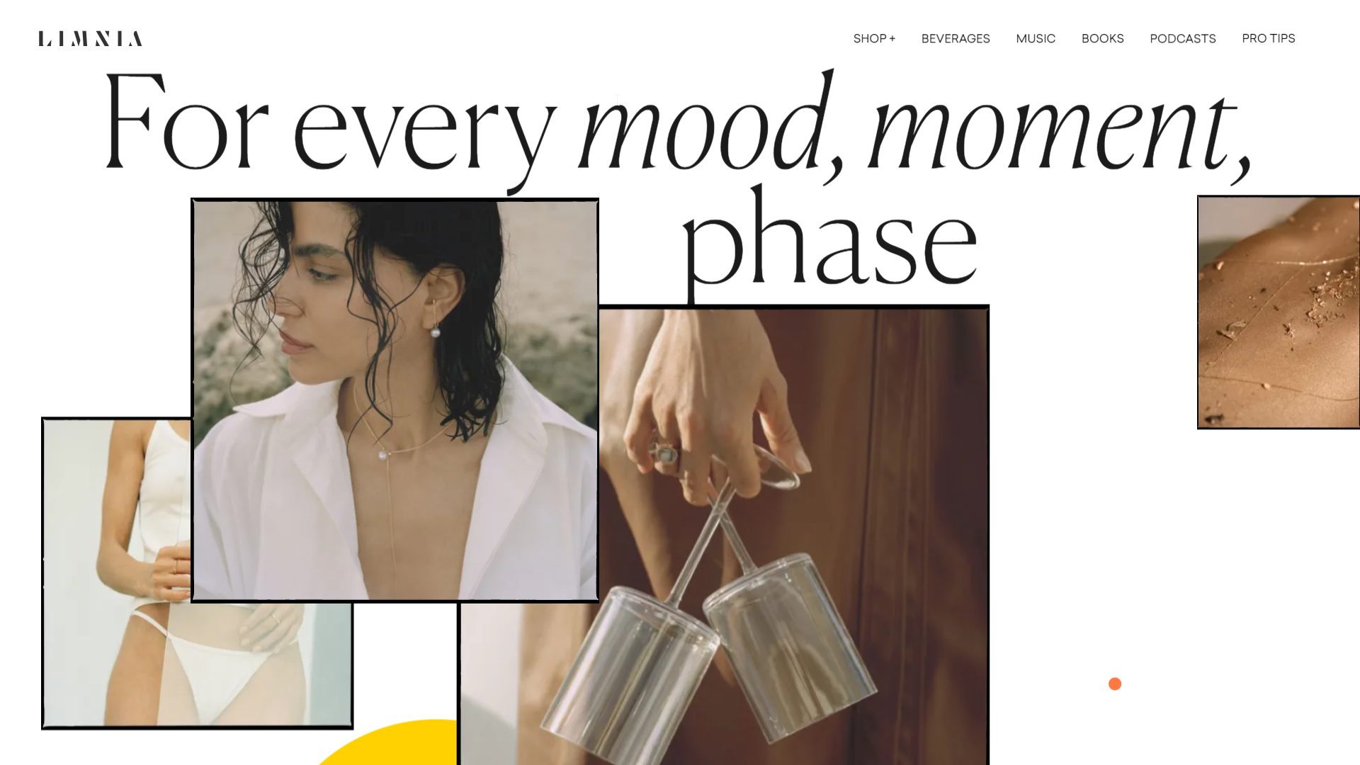 mejor-diseno-web-2021-araw-limnia-01