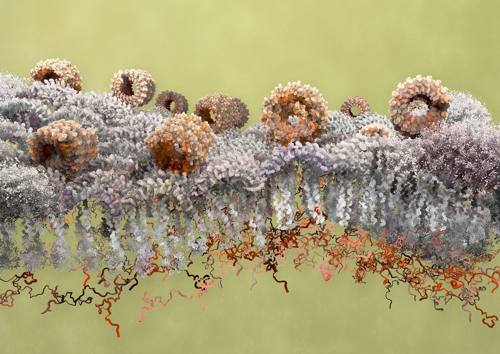 mejor-diseno-grafico-2021-hemaware-magazine-07