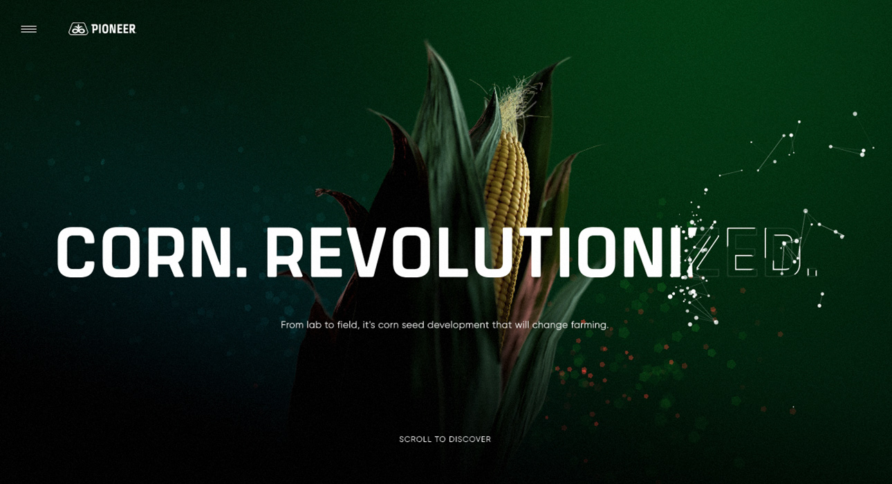 mejor-diseno-web-2021-Corn-Revolution-01