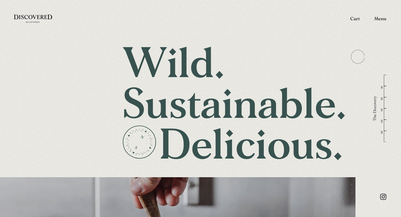 mejor-diseno-web-2021-discovered-wildfoods-01