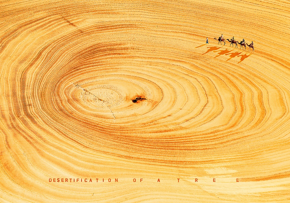 tendencia-carteles-2021-011