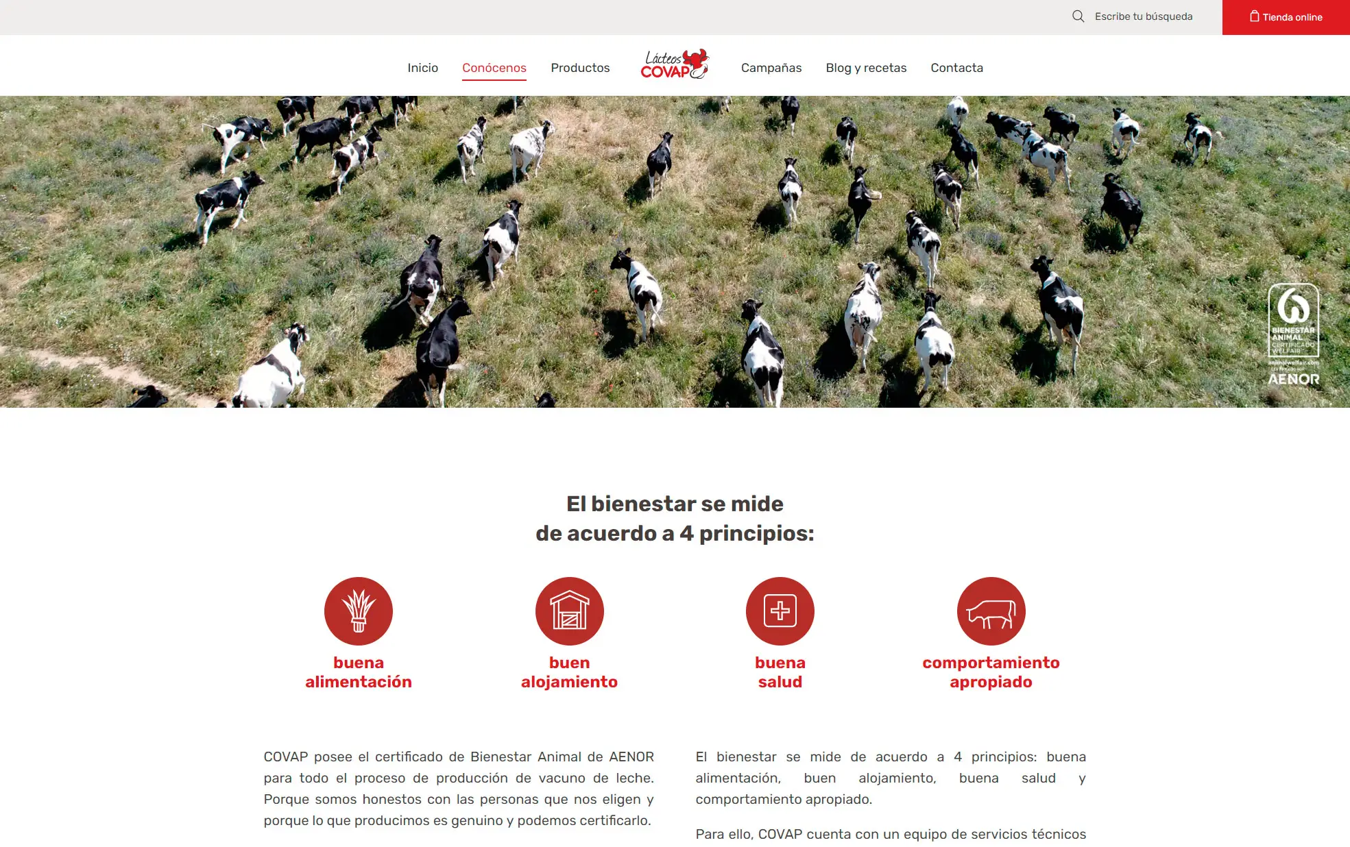 Lácteos COVAP · vista 7