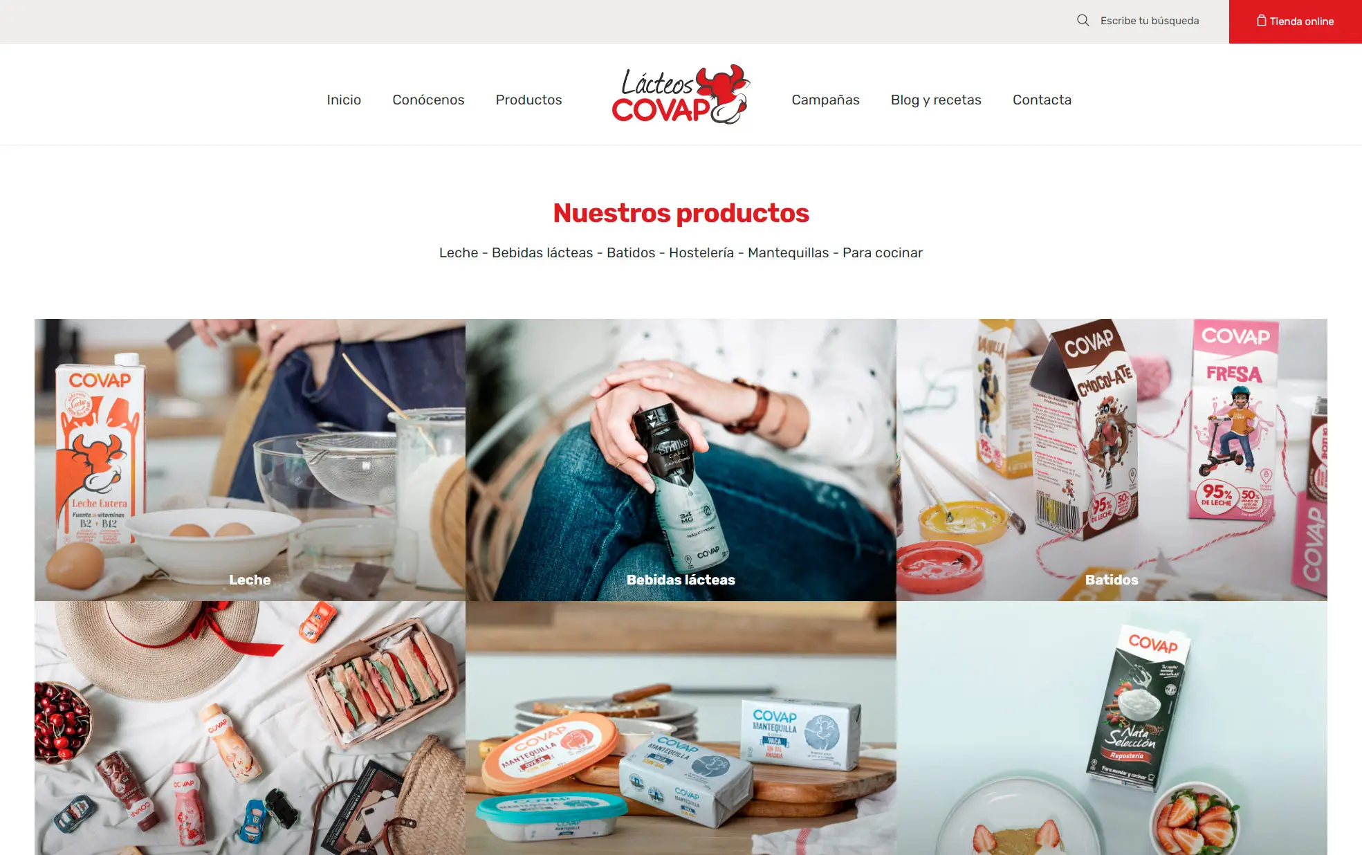 Lácteos COVAP · vista 8