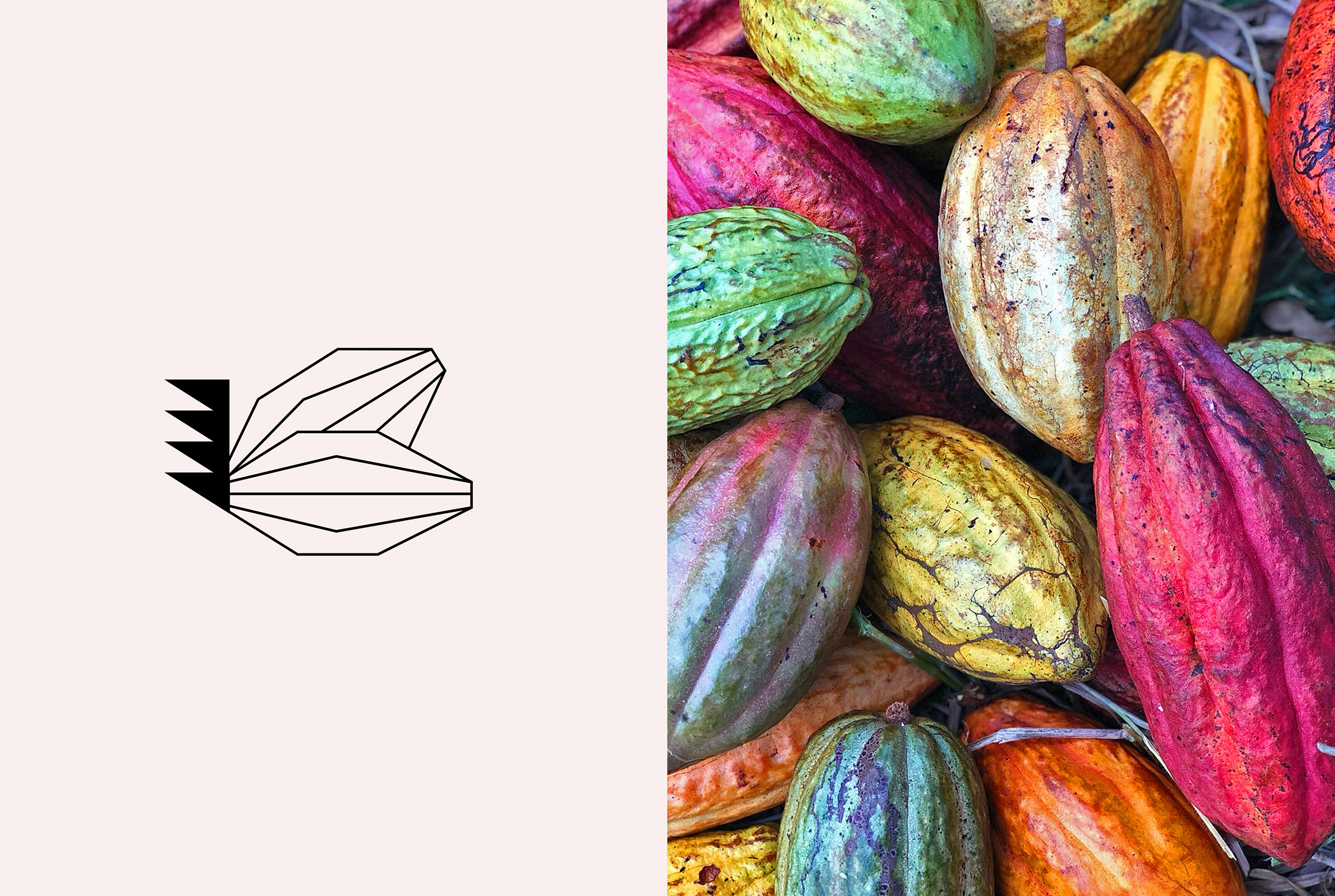 mejores-logos-2021-2022-saari-02