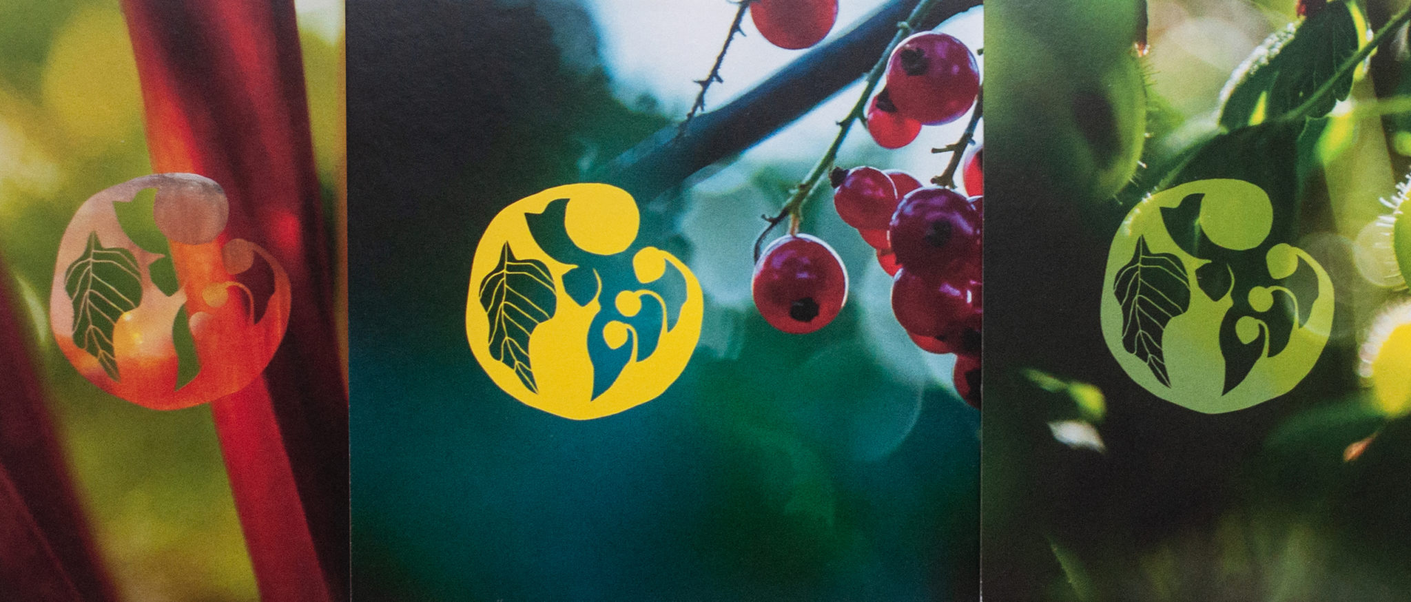 tendencias-diseno-logo-a-mano-04