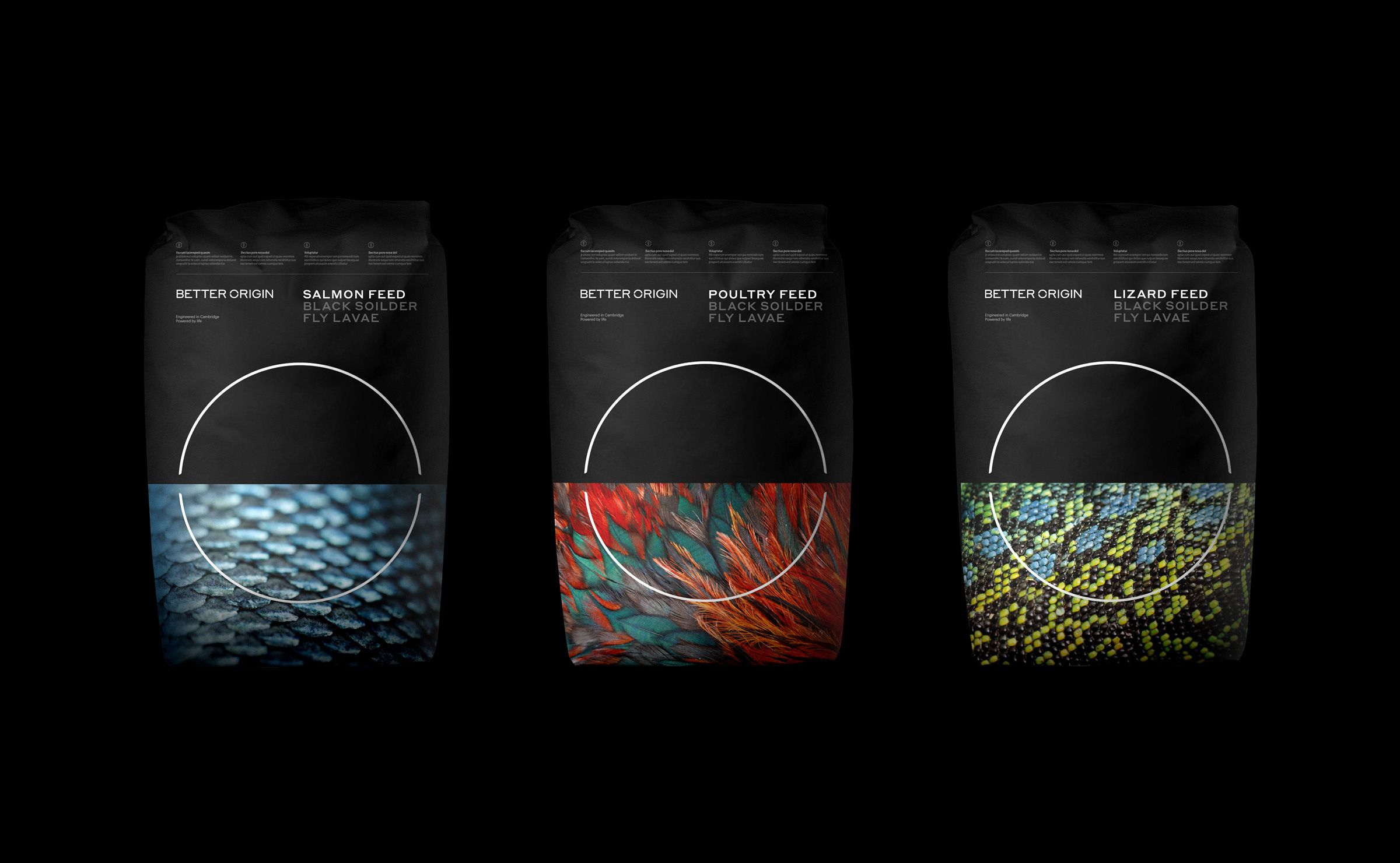 tendencias-diseno-logo-simple-34