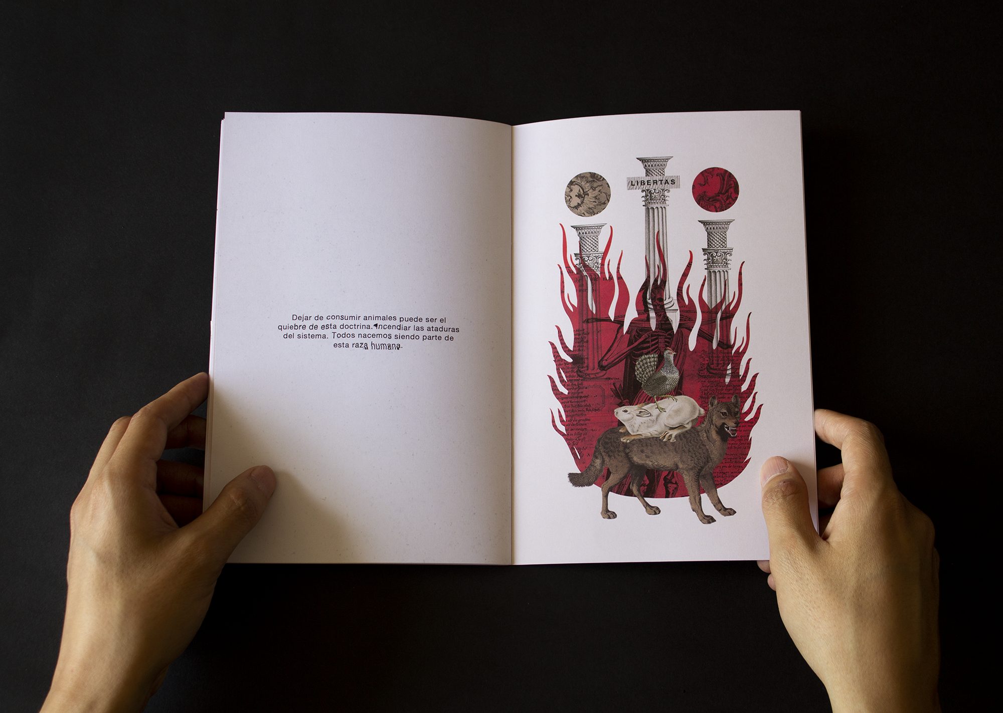 mejores-disenos-graficos-2022-pensamientos-incendiarios-06