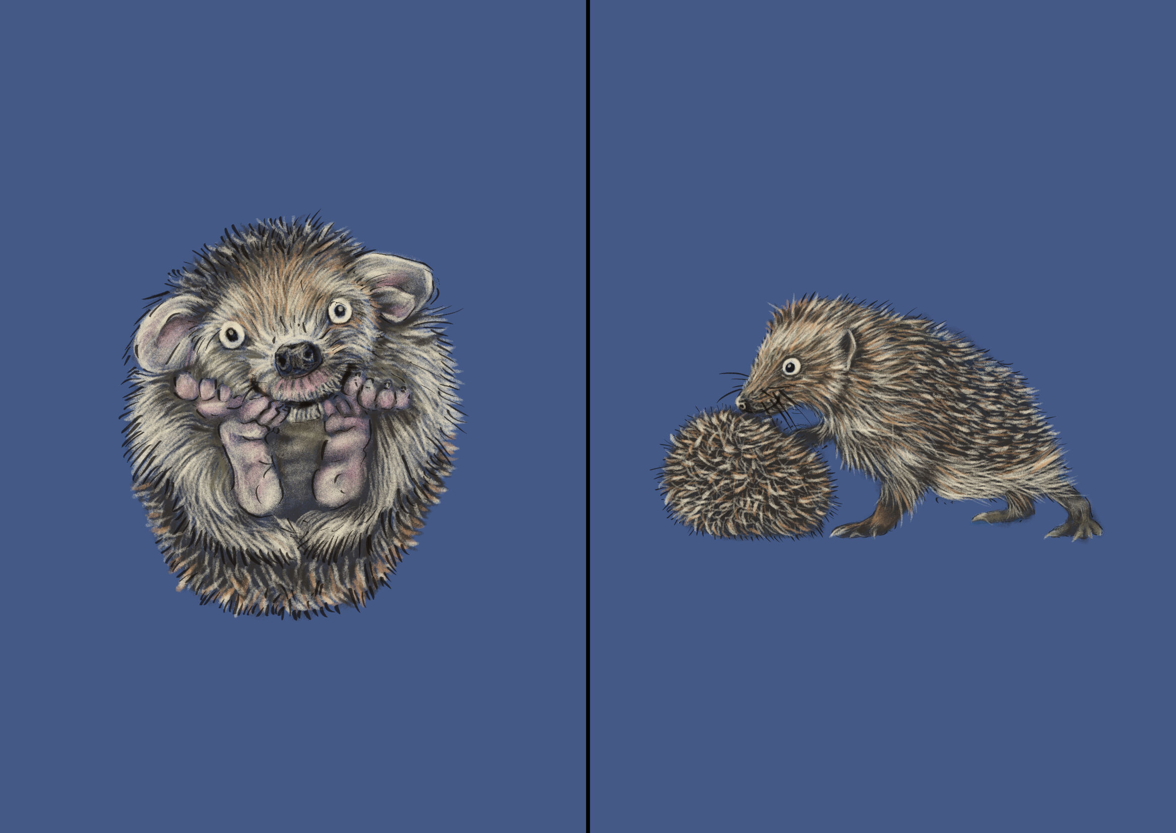 tendencias-diseno-grafico-2022-ilustracion-semirrealista-nappy-04