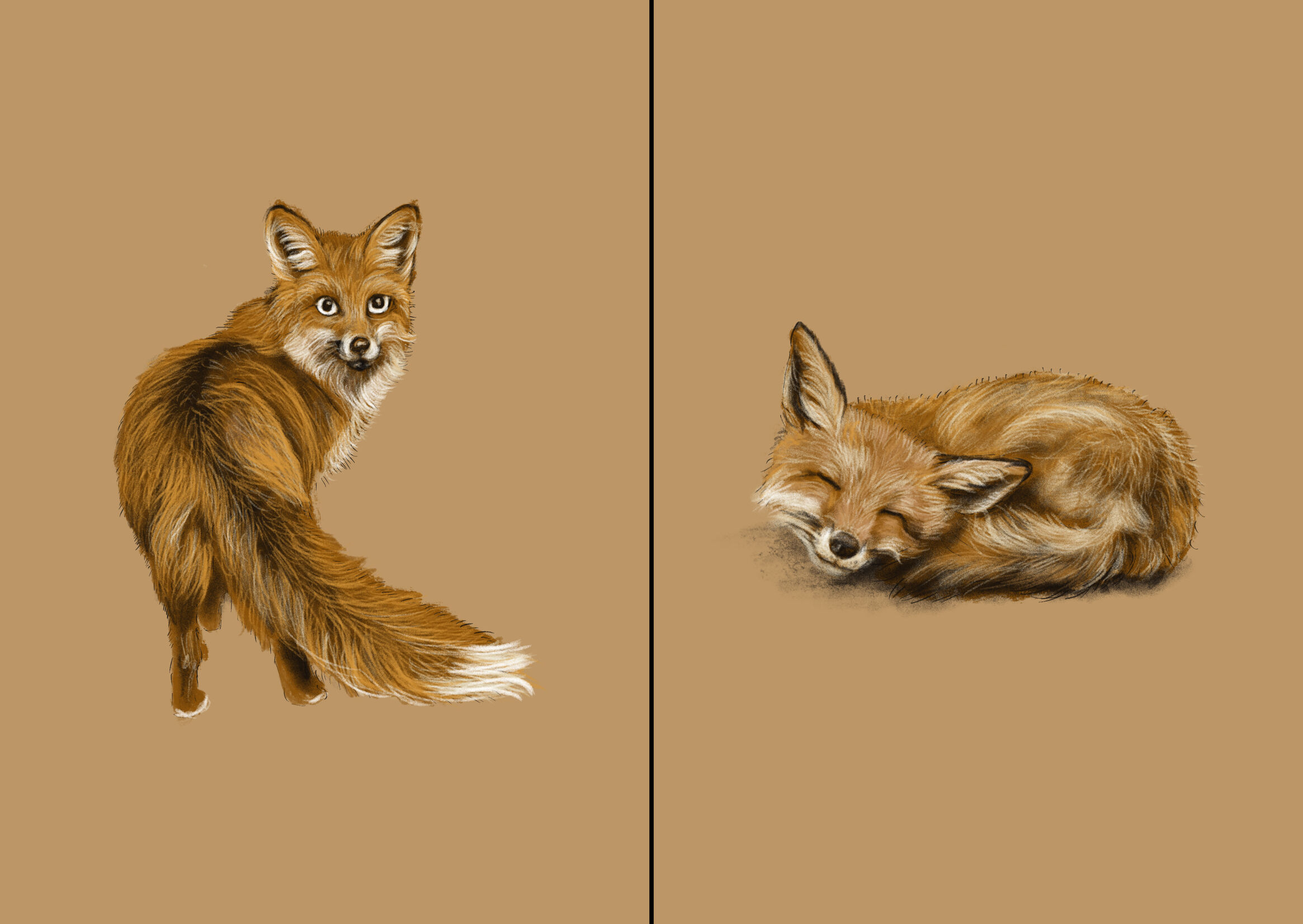 tendencias-diseno-grafico-2022-ilustracion-semirrealista-nappy-07