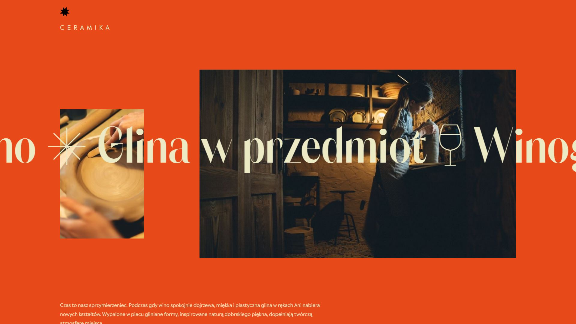 diseno-web-viñedo-wine-barczentewicz-00