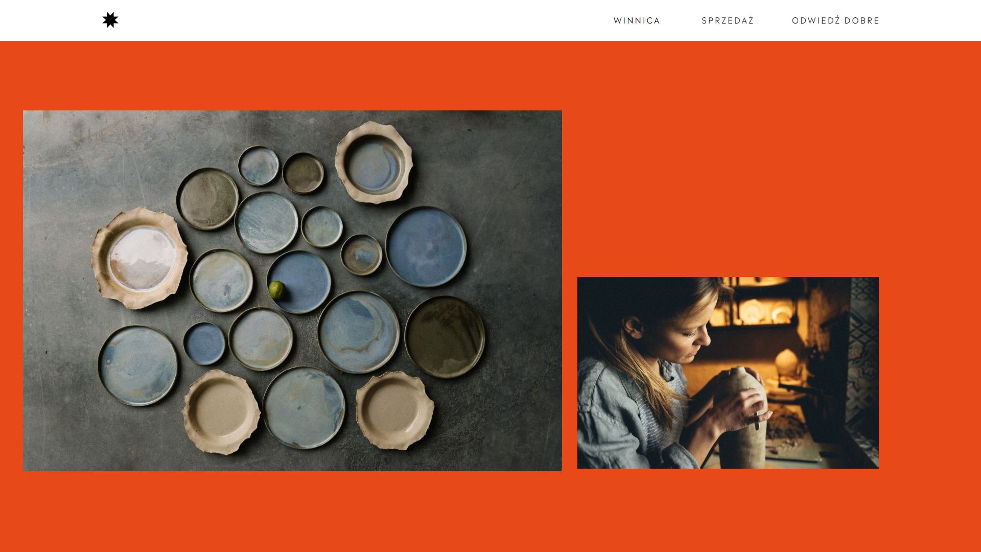 diseno-web-viñedo-wine-barczentewicz-01