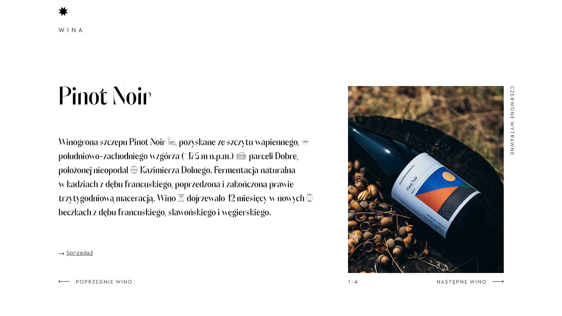 diseno-web-viñedo-wine-barczentewicz-02