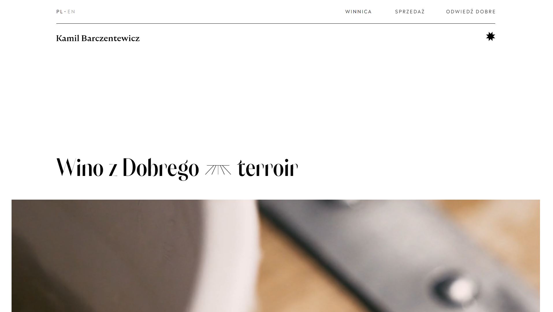 diseno-web-viñedo-wine-barczentewicz-04