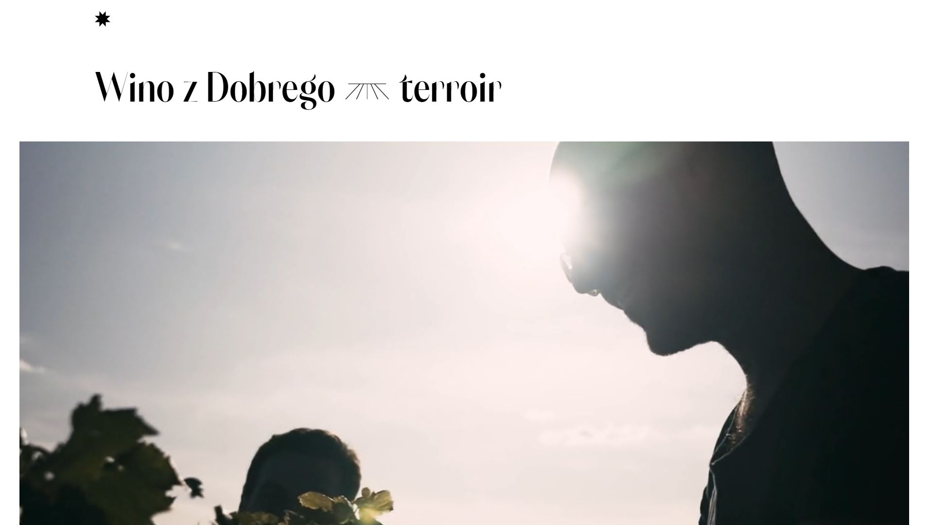 diseno-web-viñedo-wine-barczentewicz-05