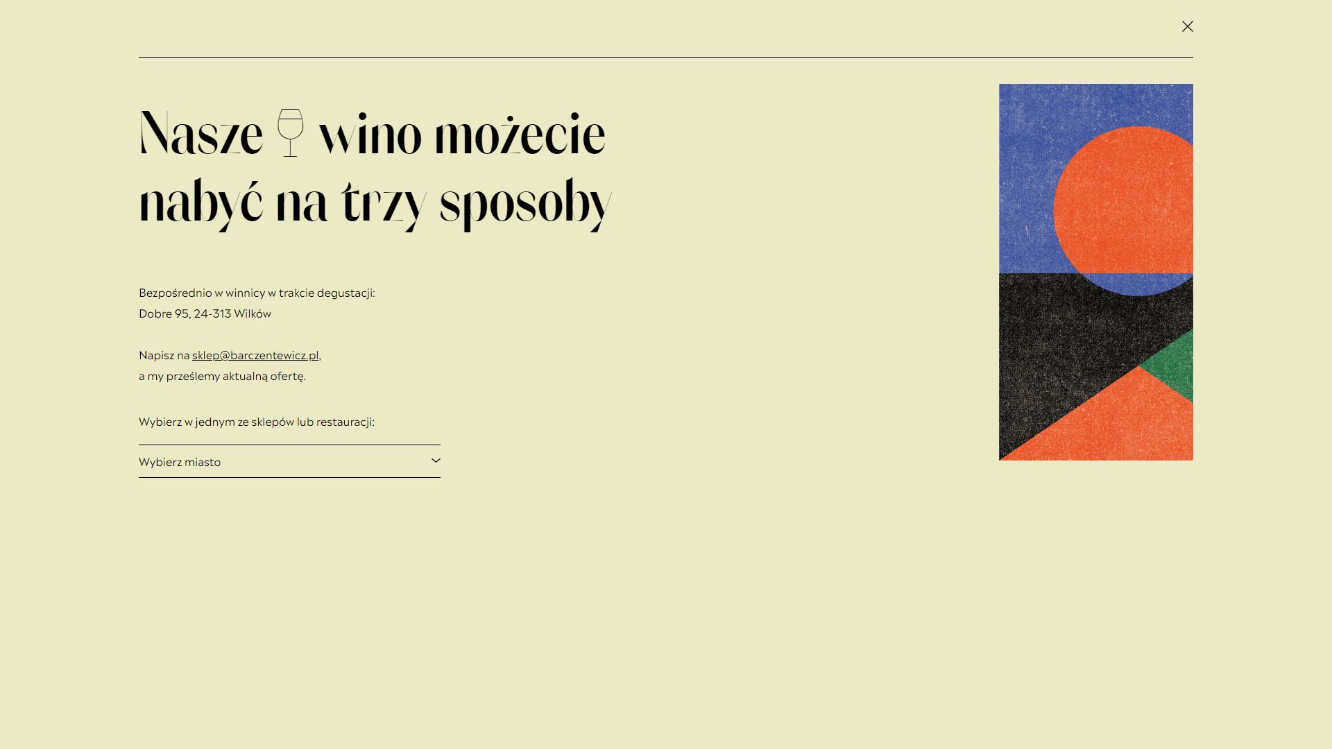 diseno-web-viñedo-wine-barczentewicz-07