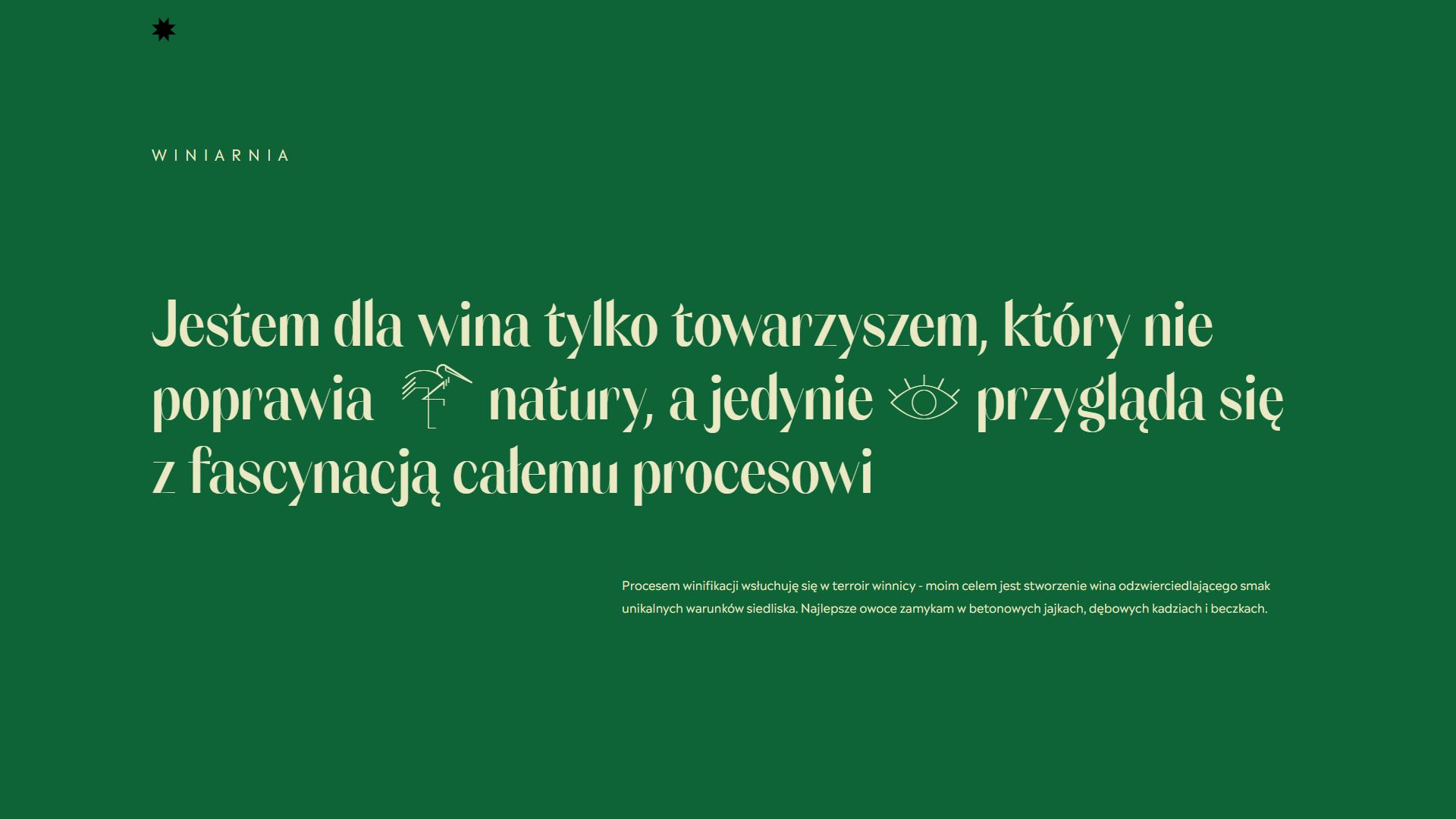 diseno-web-viñedo-wine-barczentewicz-08