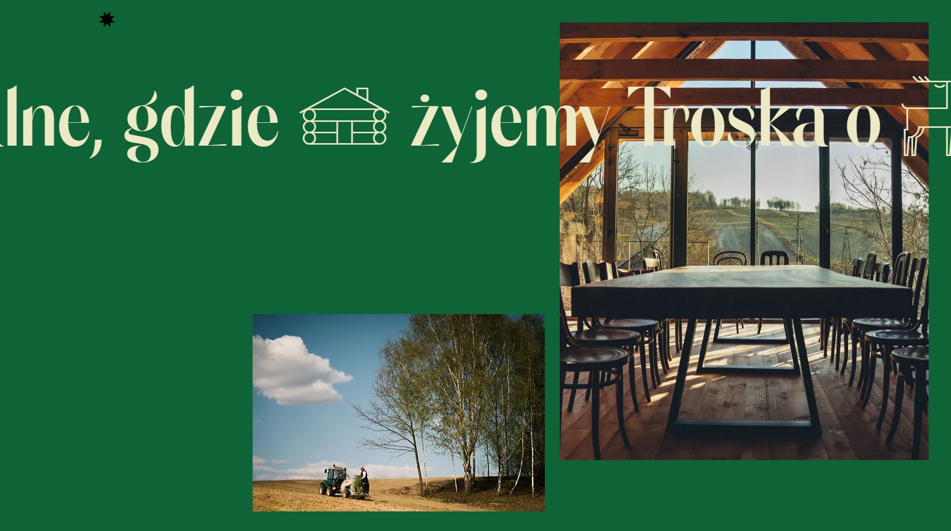 diseno-web-viñedo-wine-barczentewicz-09