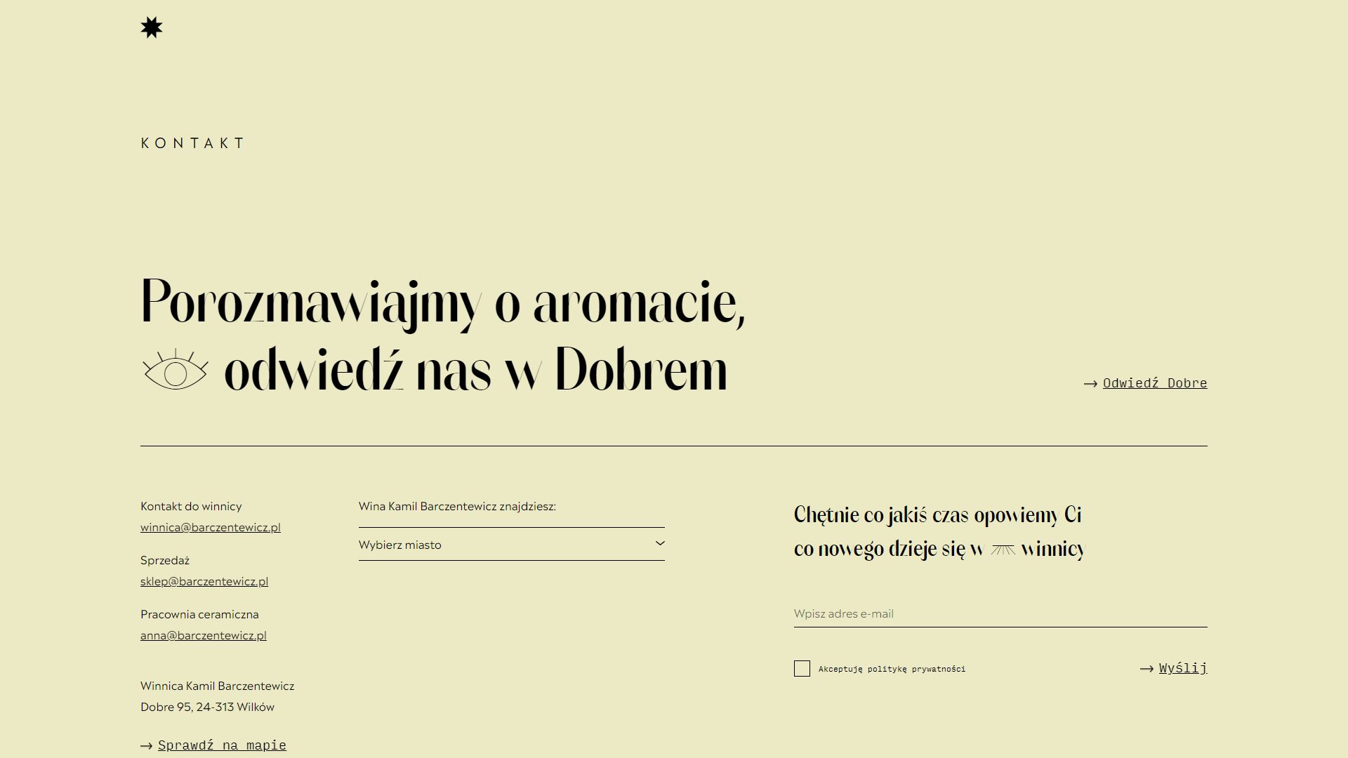 diseno-web-viñedo-wine-barczentewicz-10