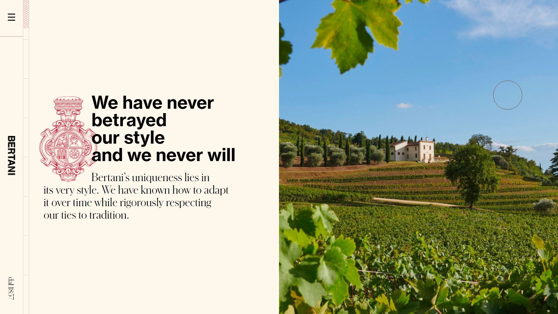 diseno-web-viñedo-wine-bertani-12