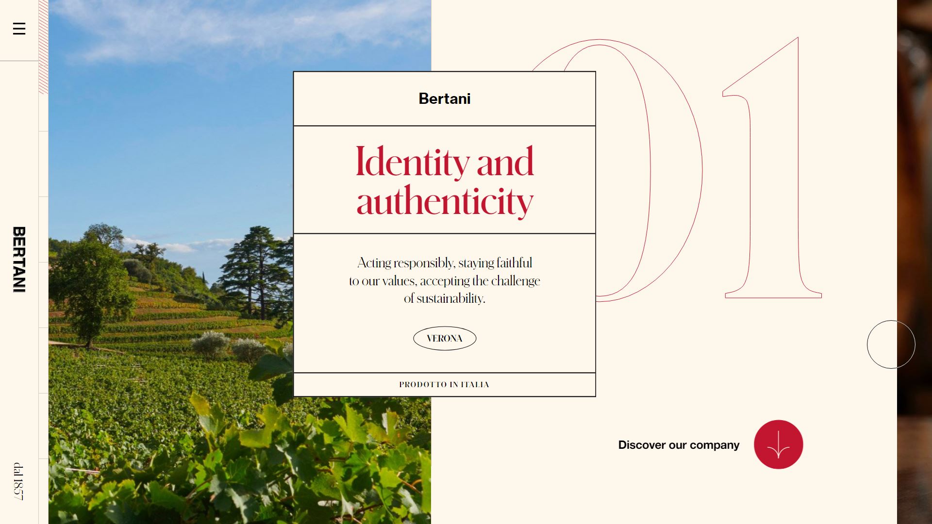 diseno-web-viñedo-wine-bertani-13