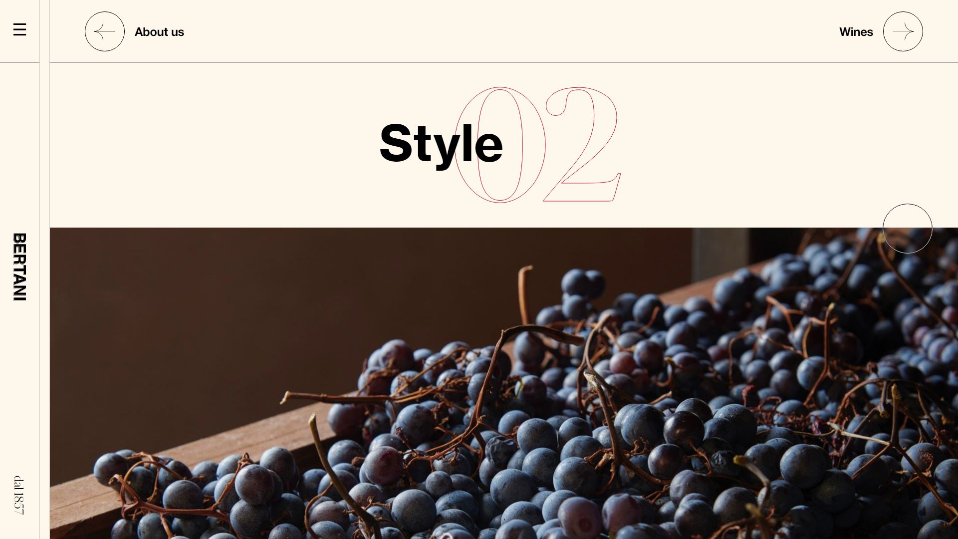 diseno-web-viñedo-wine-bertani-15