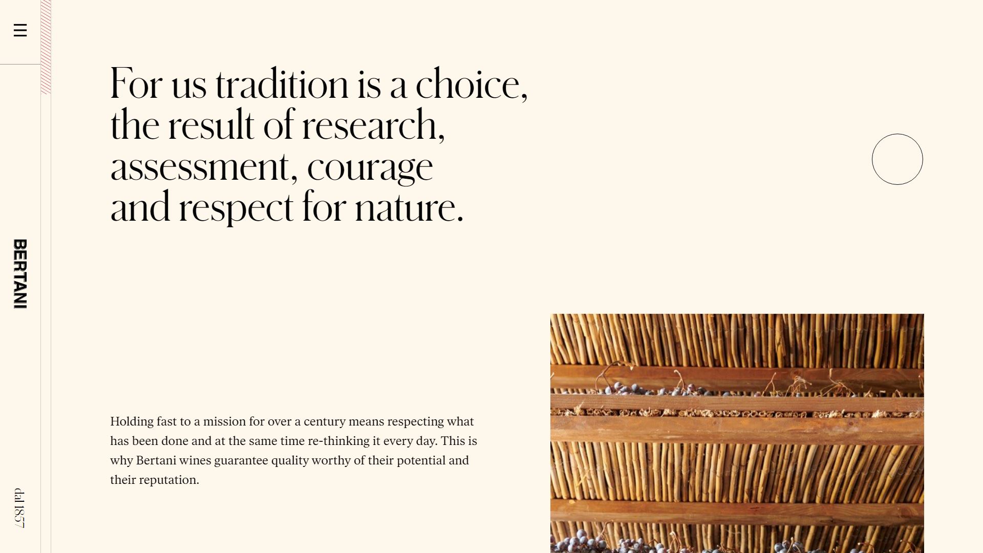 diseno-web-viñedo-wine-bertani-16