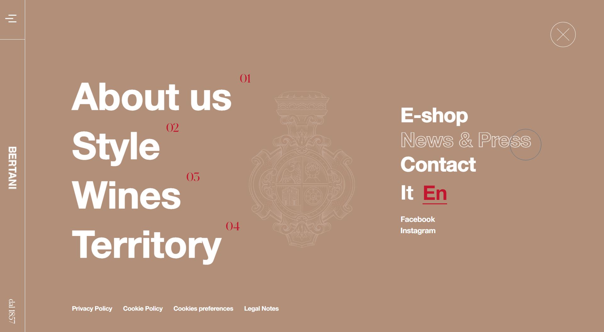 diseno-web-viñedo-wine-bertani-17