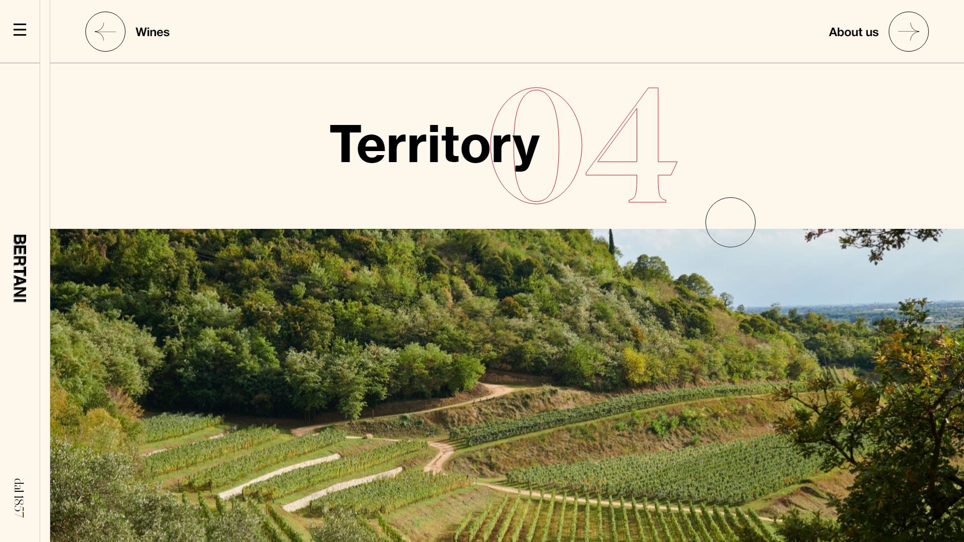 diseno-web-viñedo-wine-bertani-18