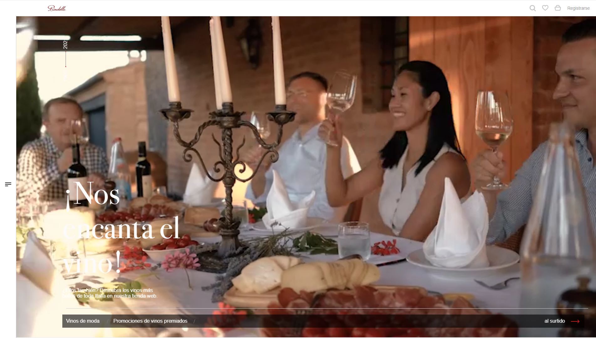 diseno-web-viñedo-wine-bindella-19