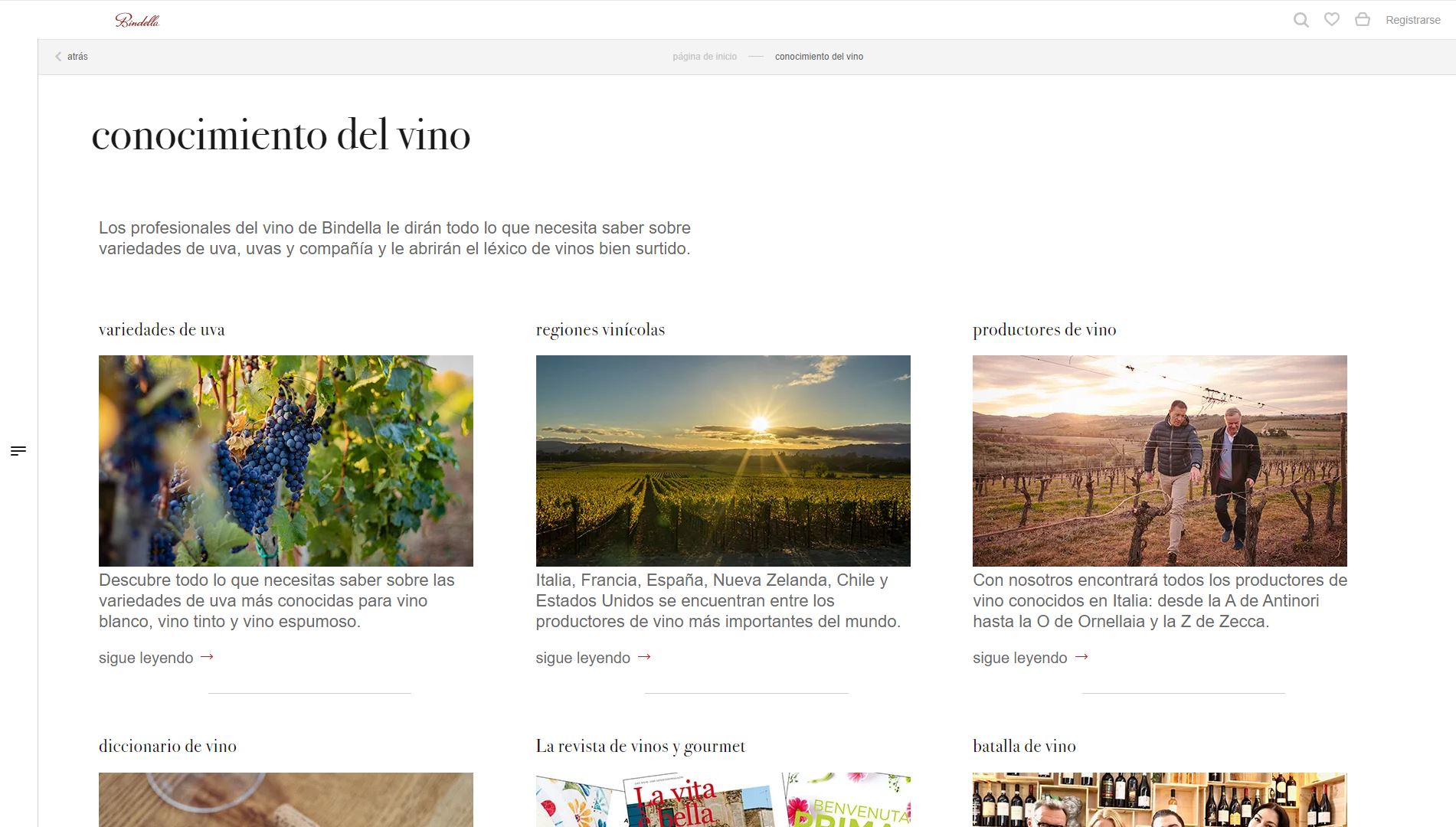 diseno-web-viñedo-wine-bindella-21