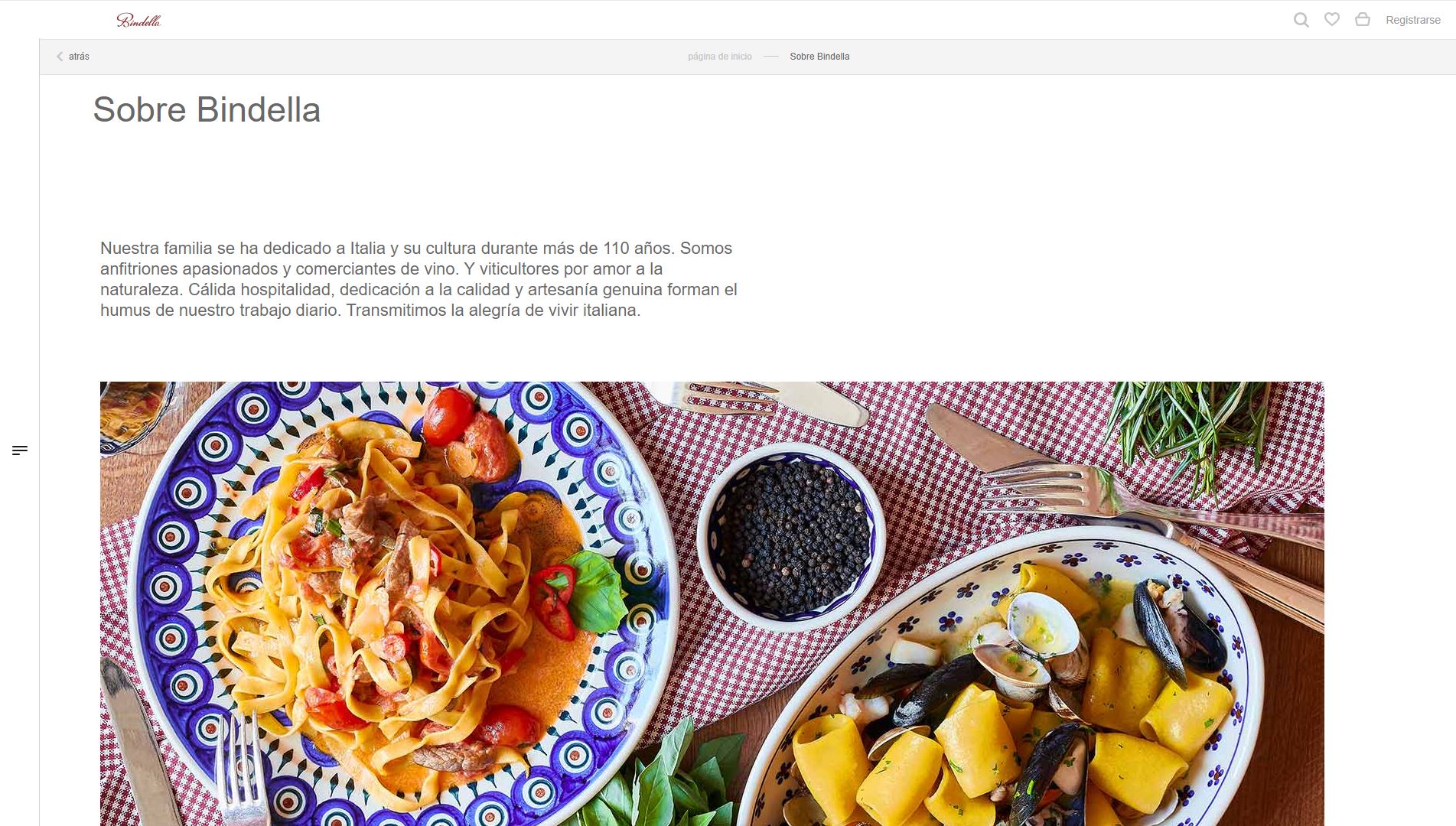 diseno-web-viñedo-wine-bindella-25