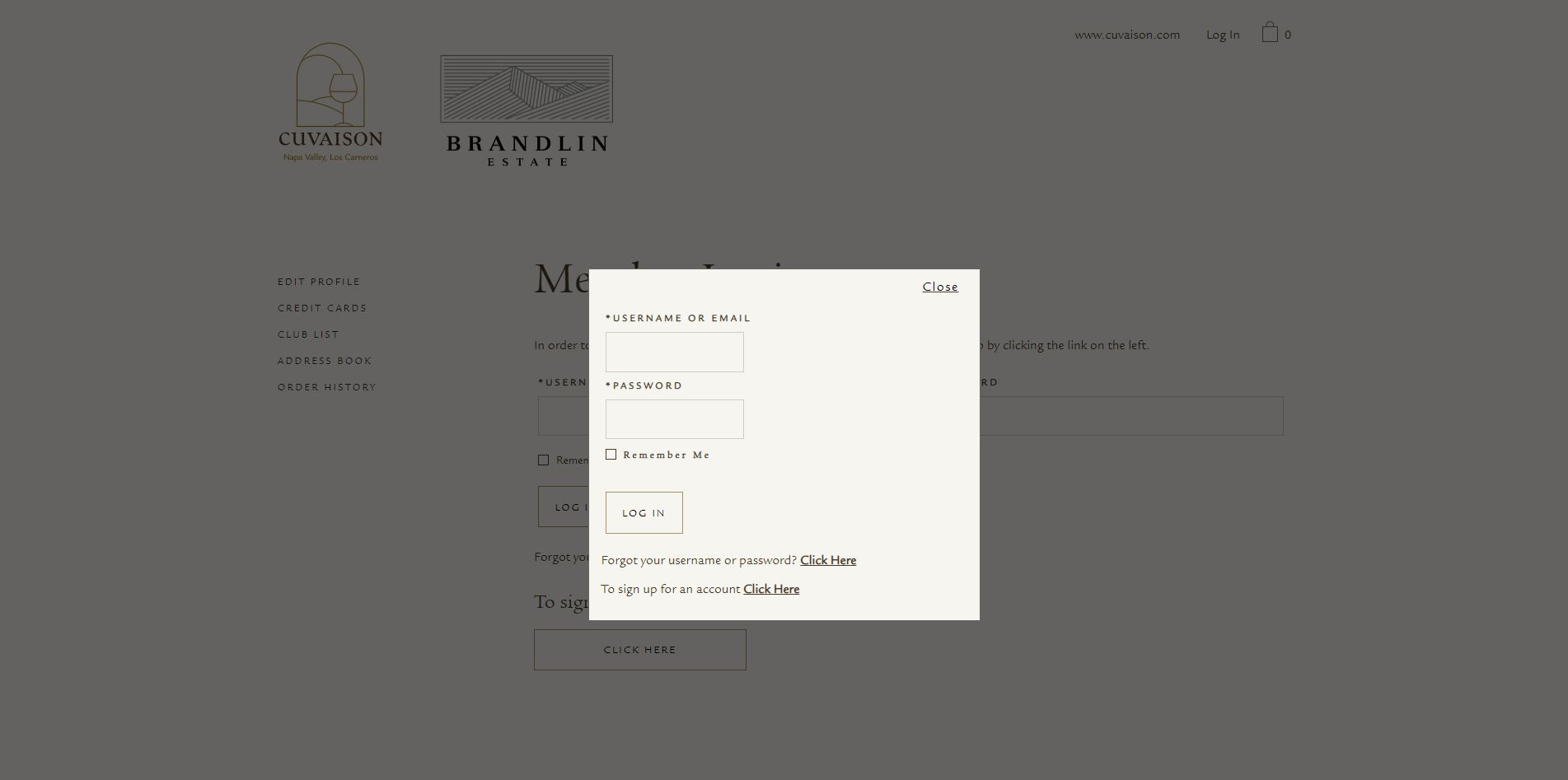 diseno-web-viñedo-wine-brandelinestate-27