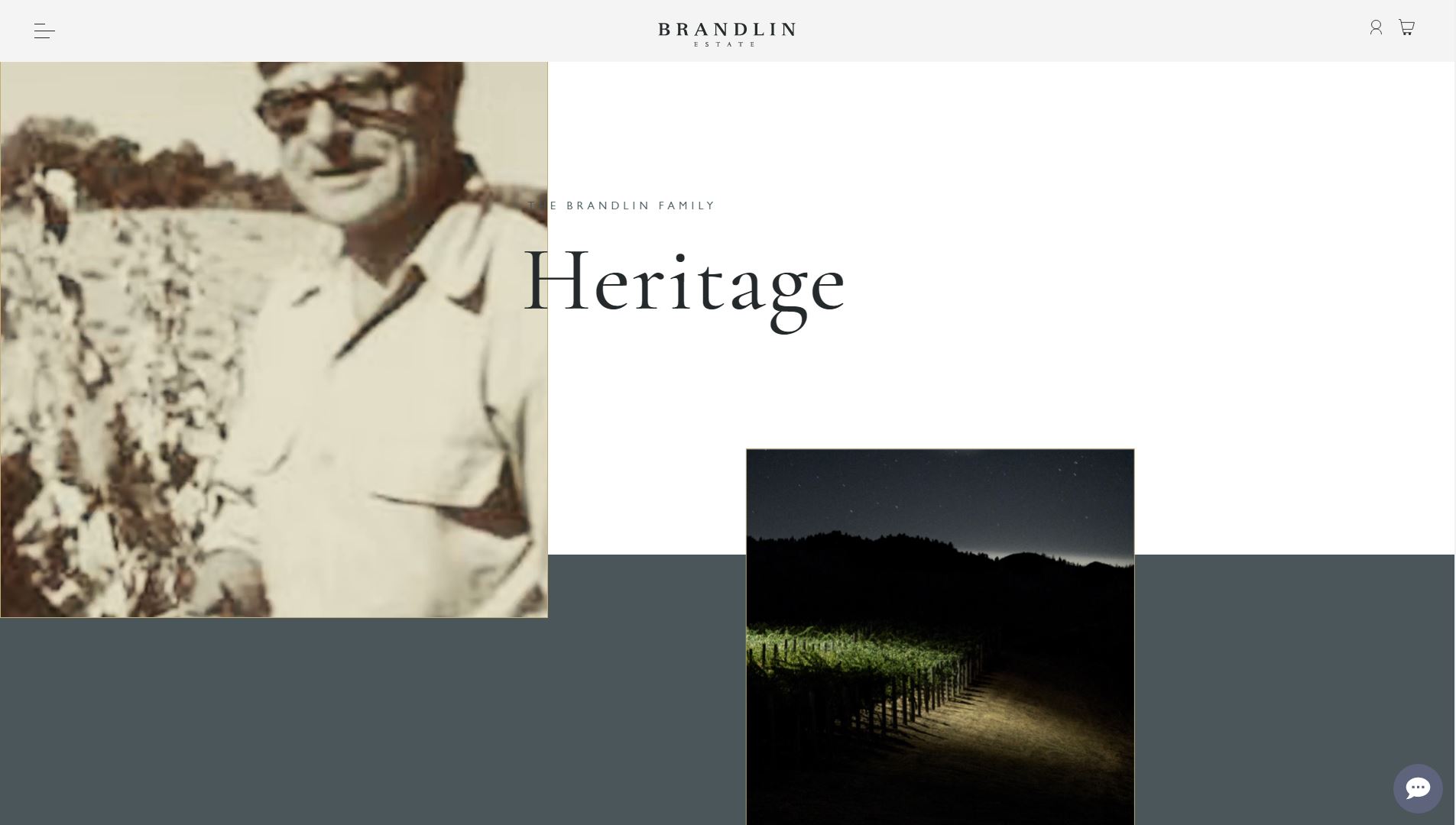 diseno-web-viñedo-wine-brandelinestate-28