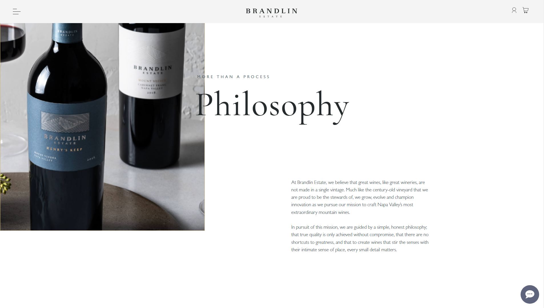diseno-web-viñedo-wine-brandelinestate-30