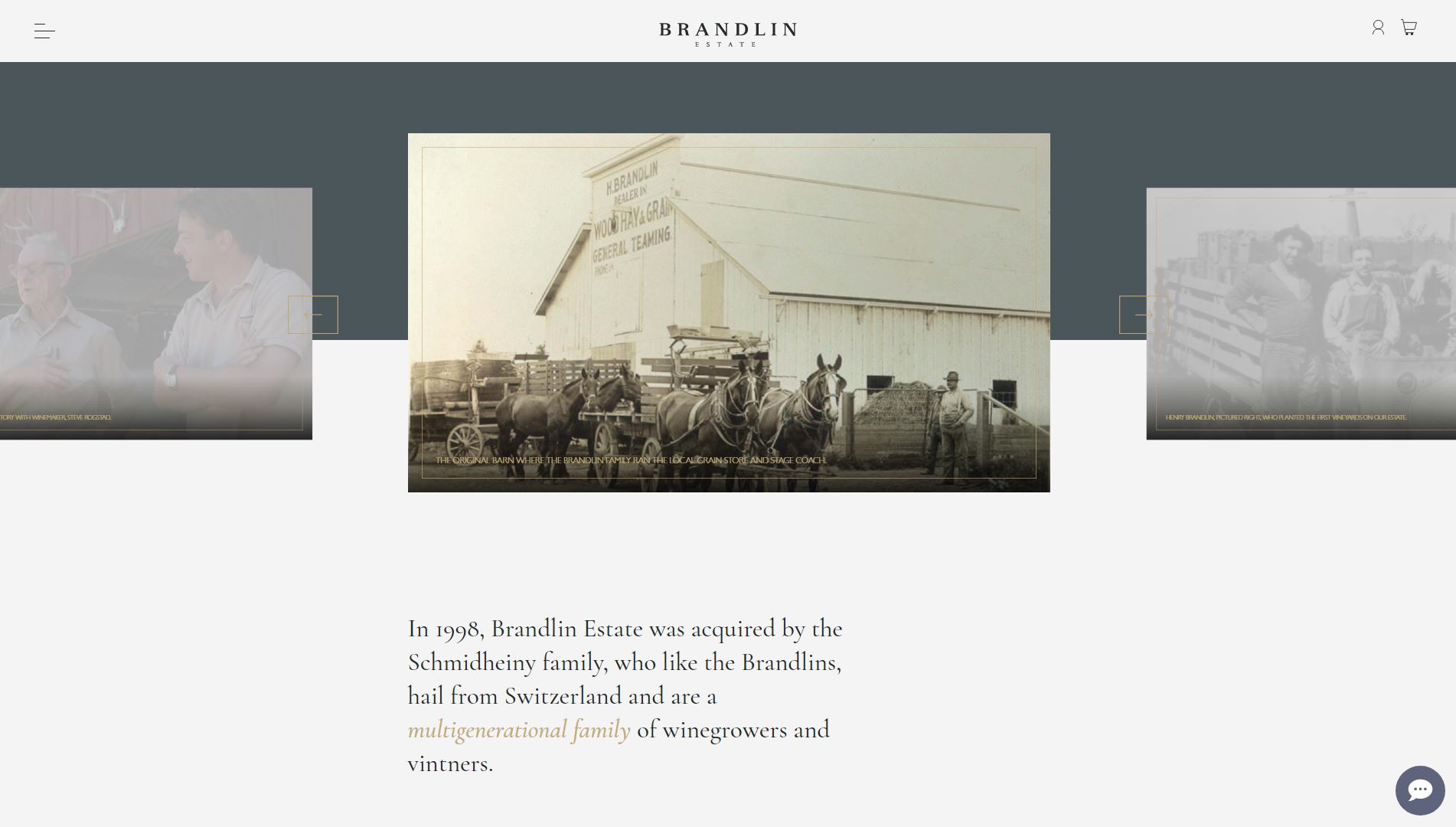 diseno-web-viñedo-wine-brandelinestate-31