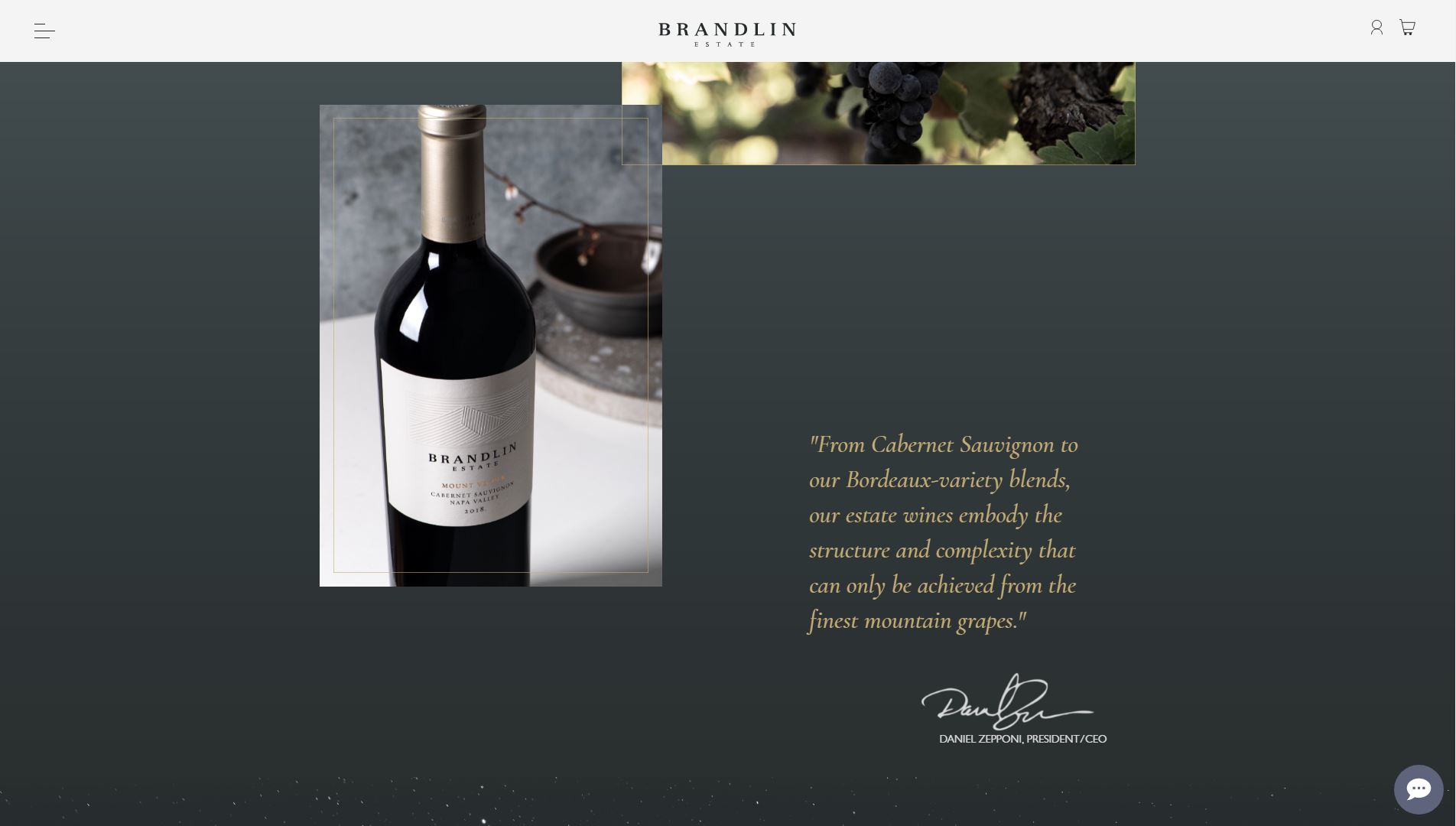 diseno-web-viñedo-wine-brandelinestate-32