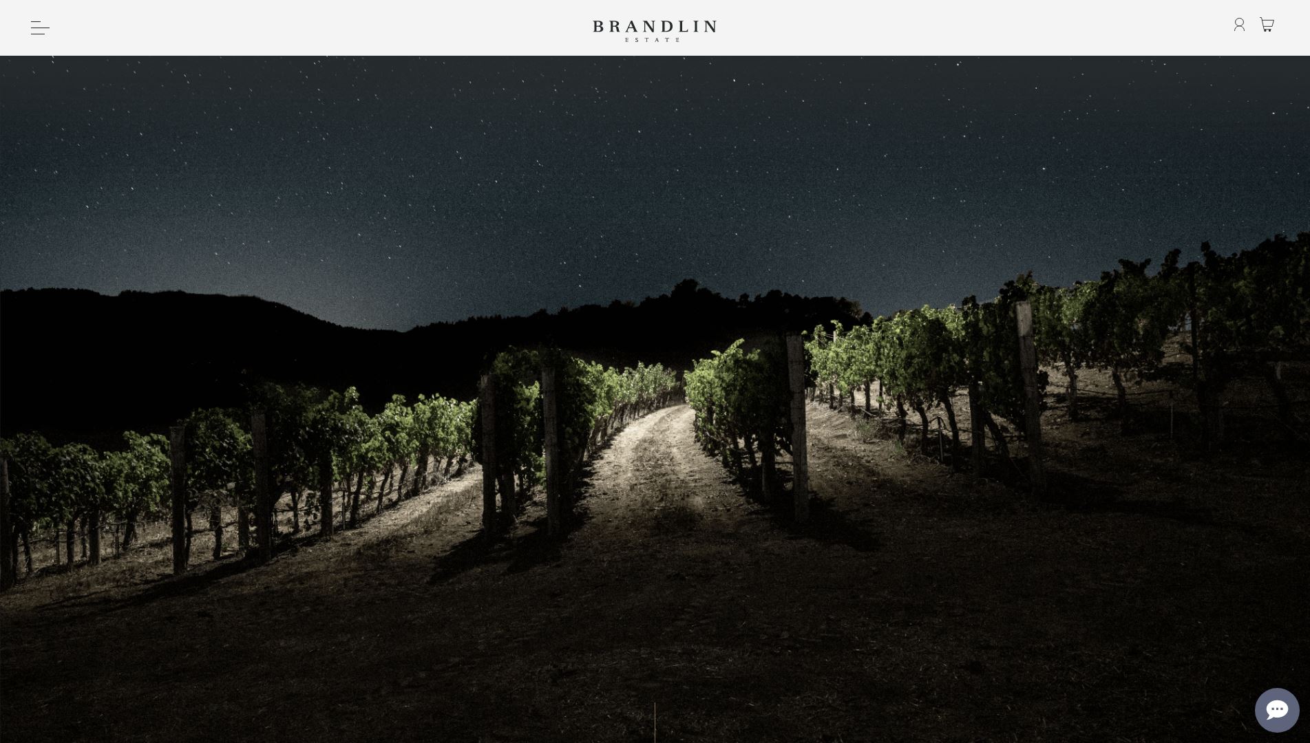 diseno-web-viñedo-wine-brandelinestate-33