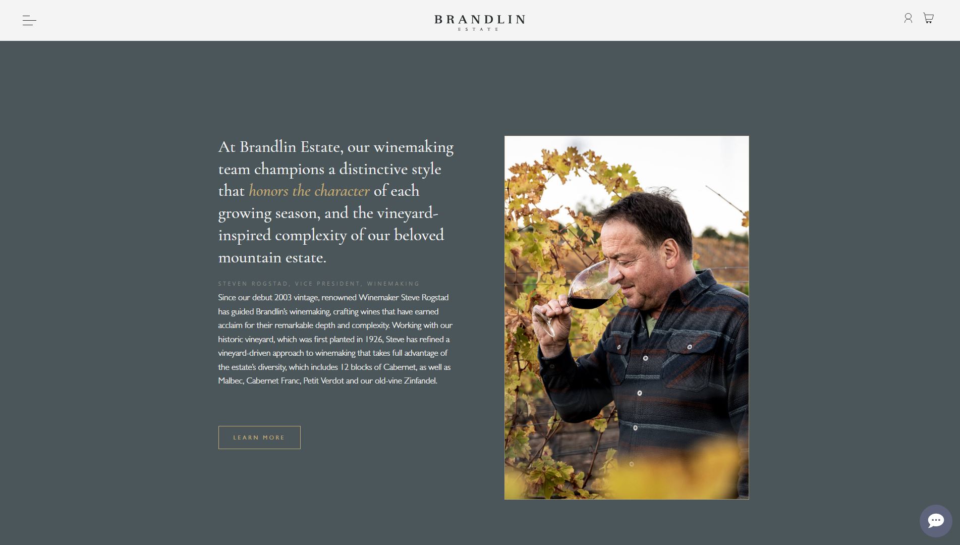 diseno-web-viñedo-wine-brandelinestate-34