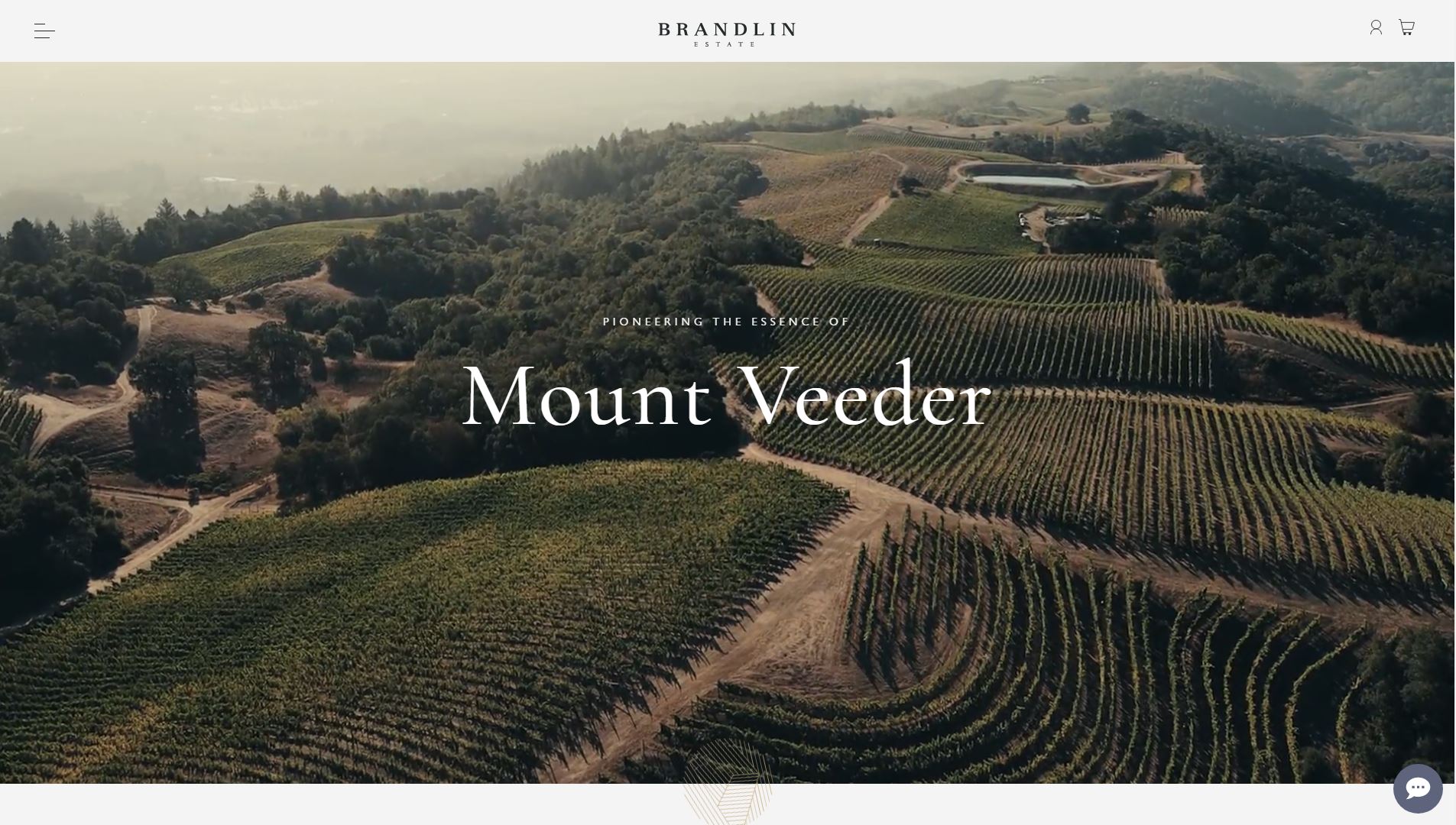 diseno-web-viñedo-wine-brandelinestate-35