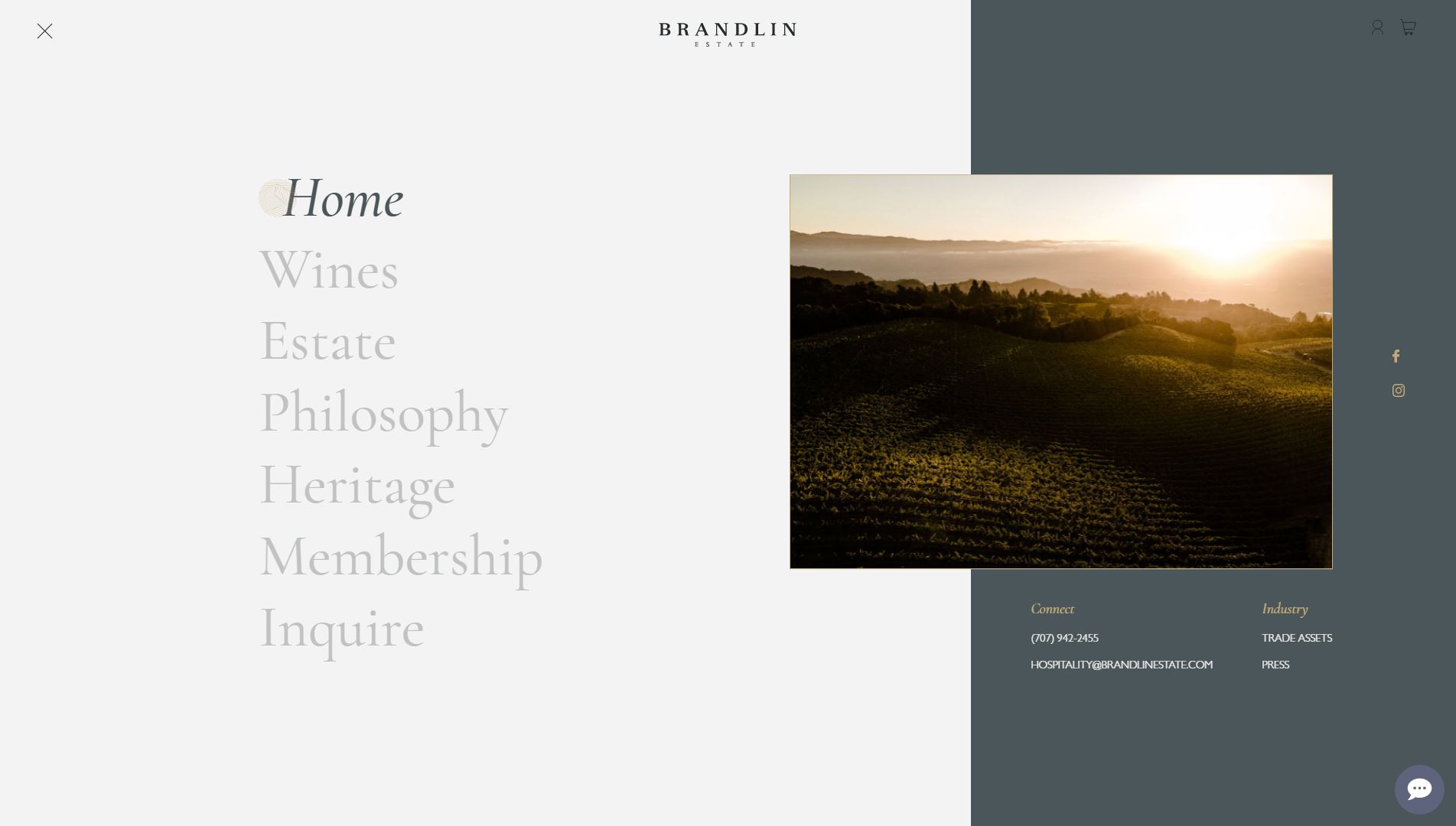 diseno-web-viñedo-wine-brandelinestate-36