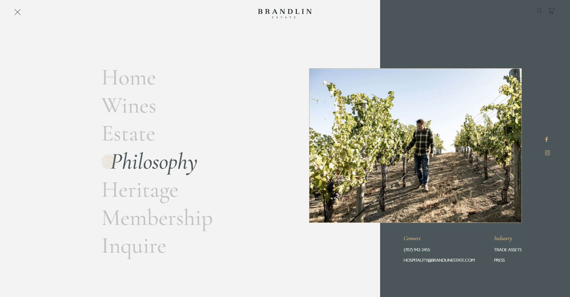 diseno-web-viñedo-wine-brandelinestate-37