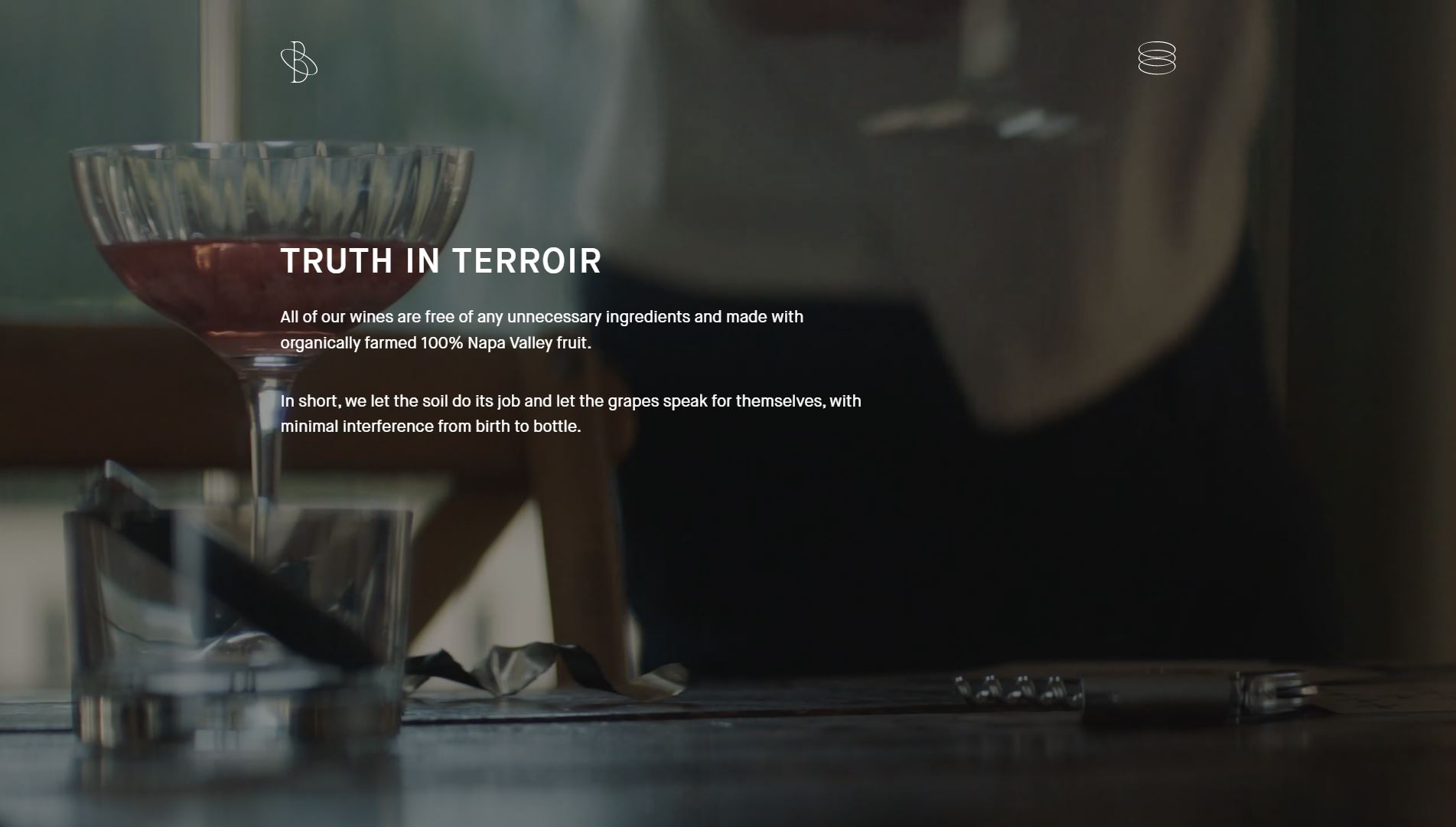 diseno-web-viñedo-wine-brendell-40