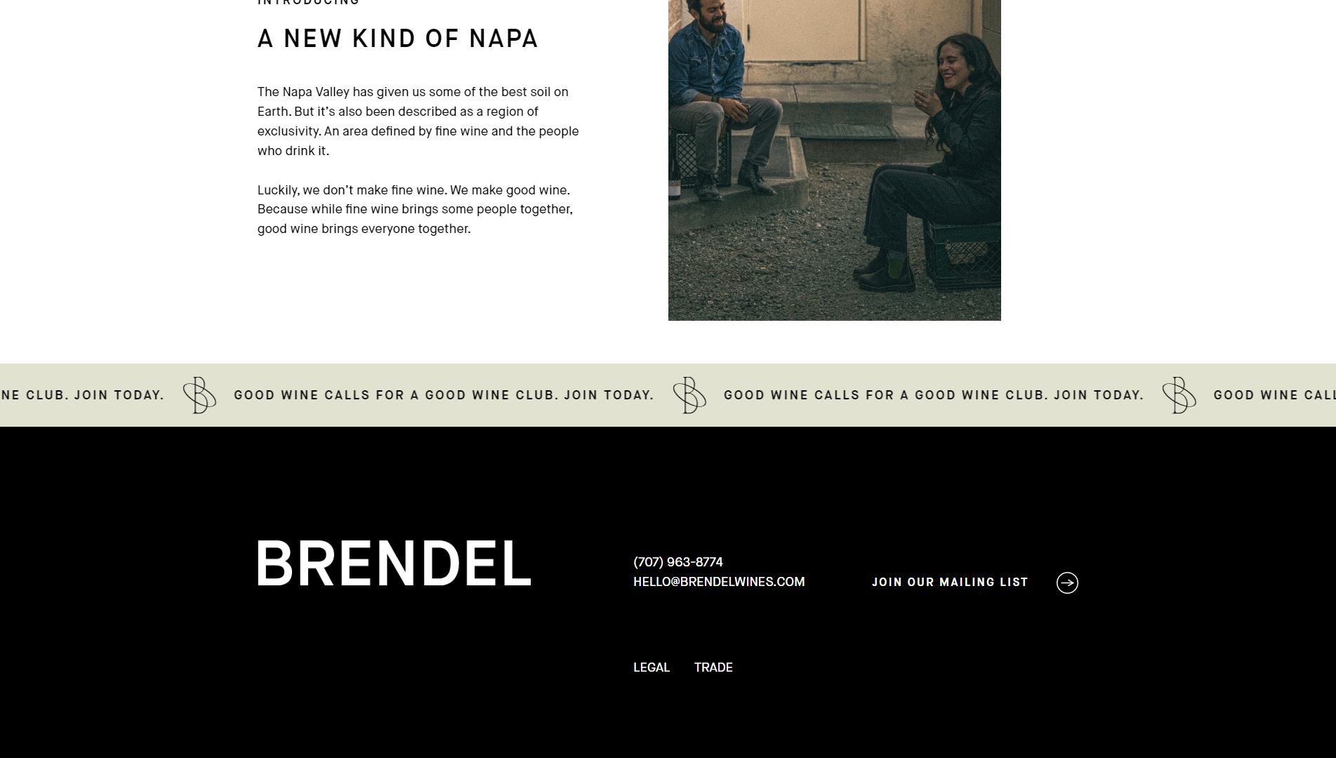 diseno-web-viñedo-wine-brendell-43