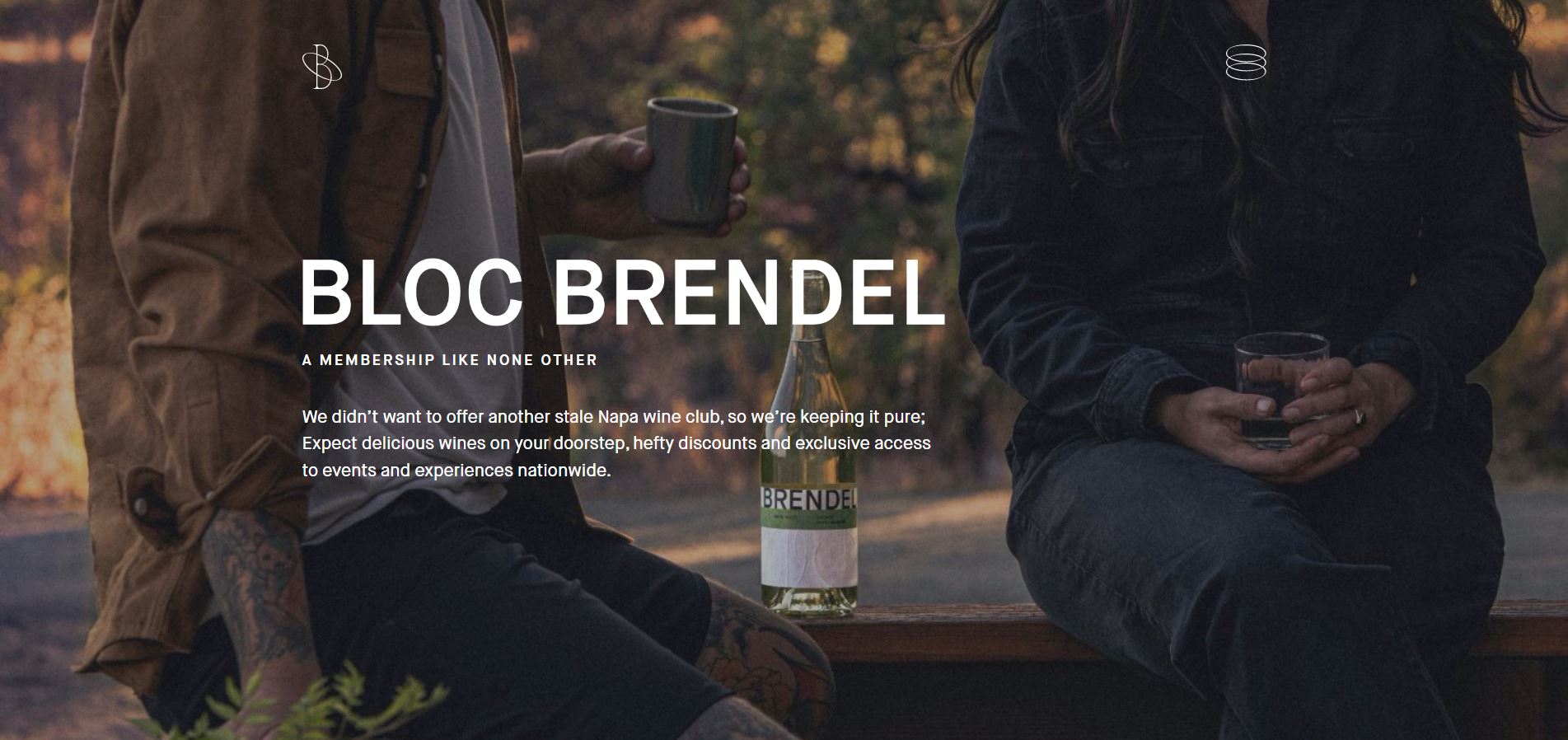 diseno-web-viñedo-wine-brendell-44